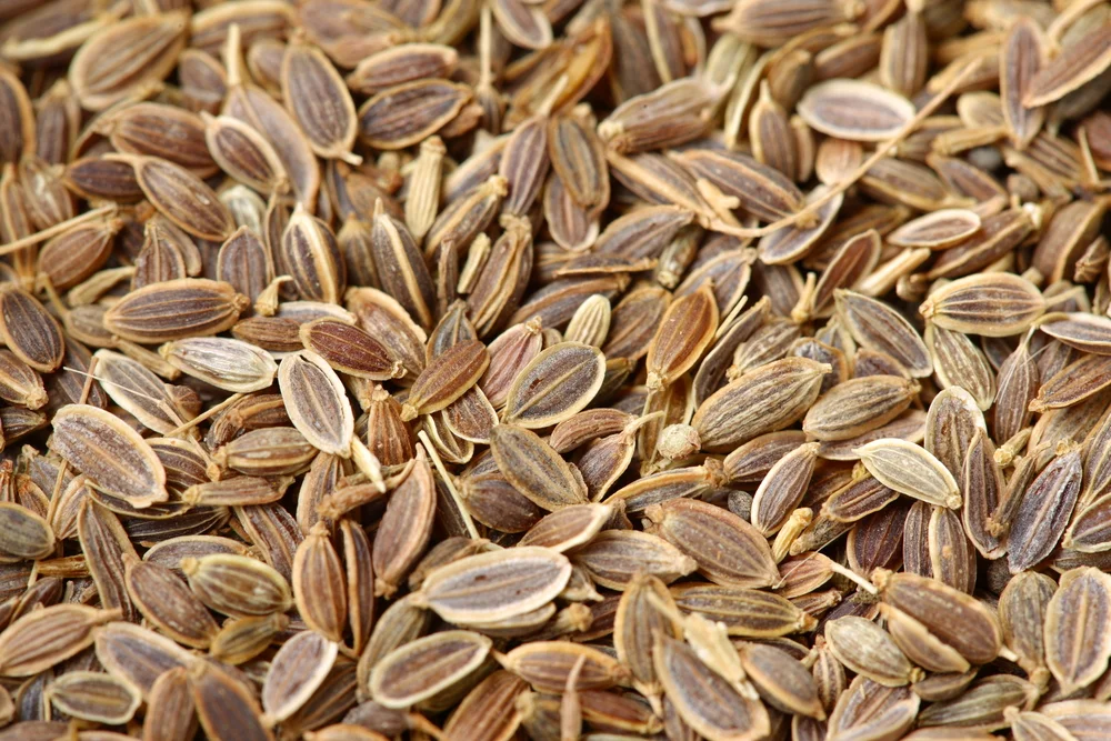 Dill Seed