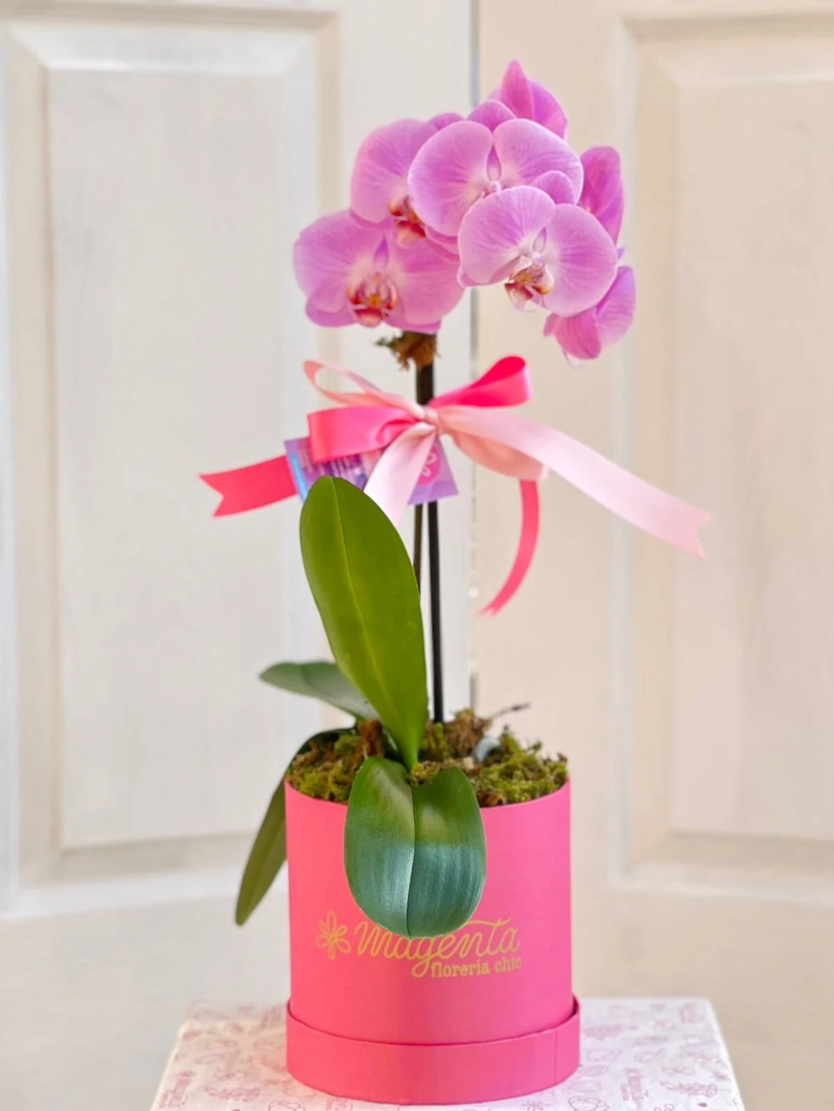 A55B85B6-BF90-4AD0-9868-D7157FE73C46