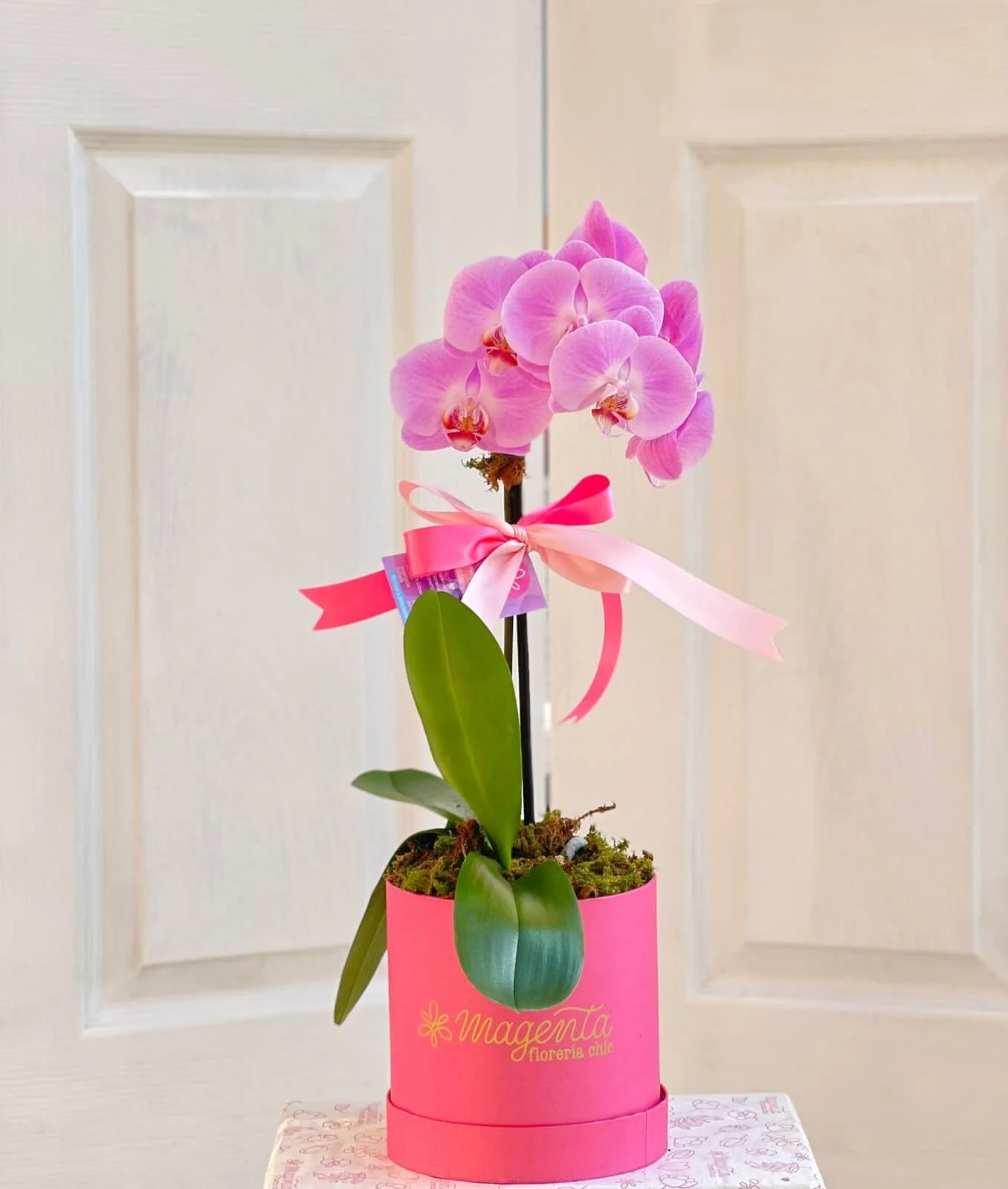 7418547A-C509-4BF7-B01B-BA1045BABAB2