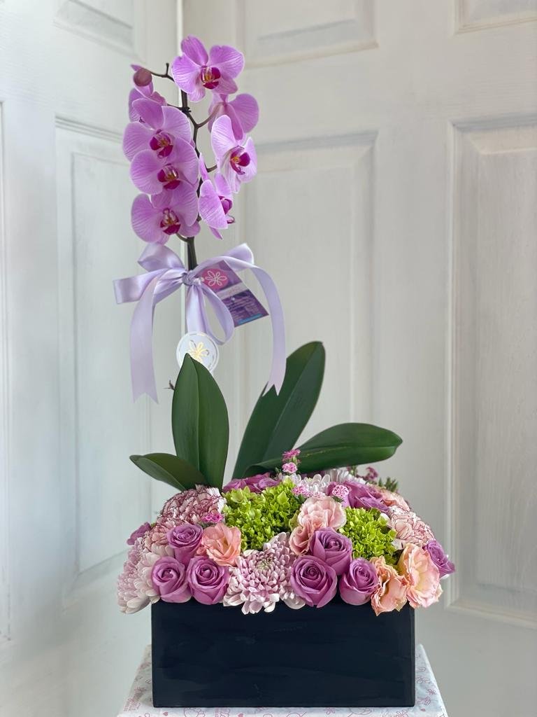 Orquídea Deco — Florería Magenta