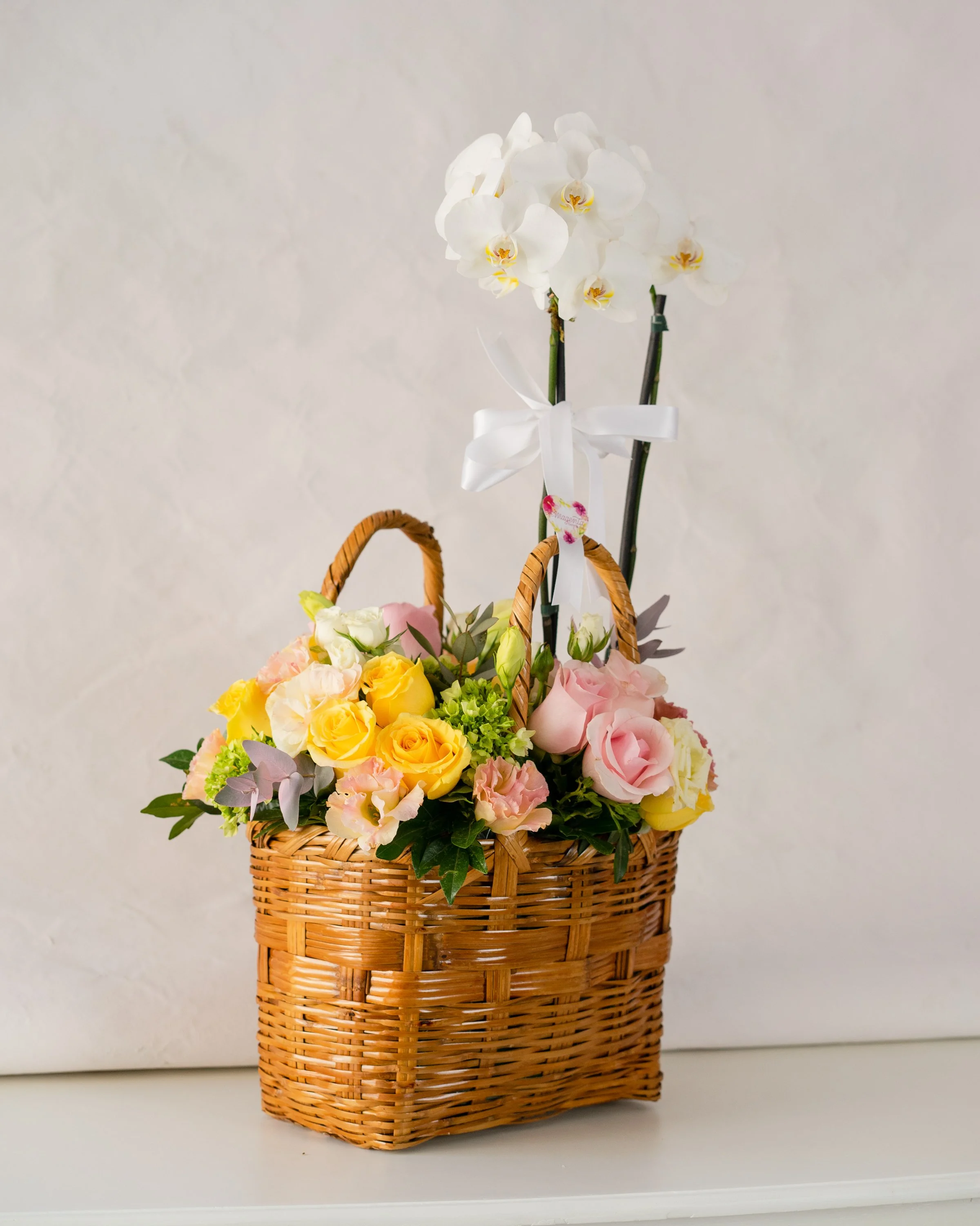 Orquídea like a sunshine