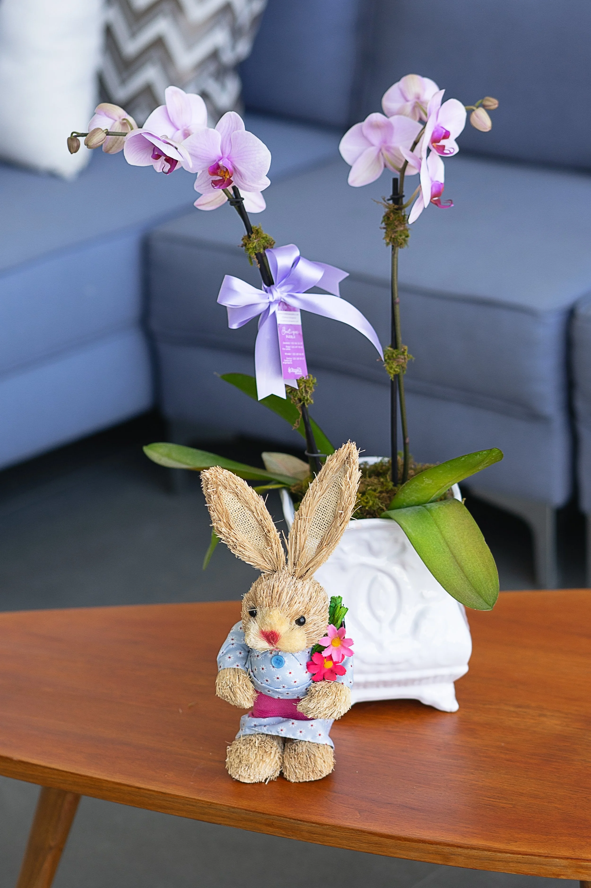 Orquídea en base cerámica