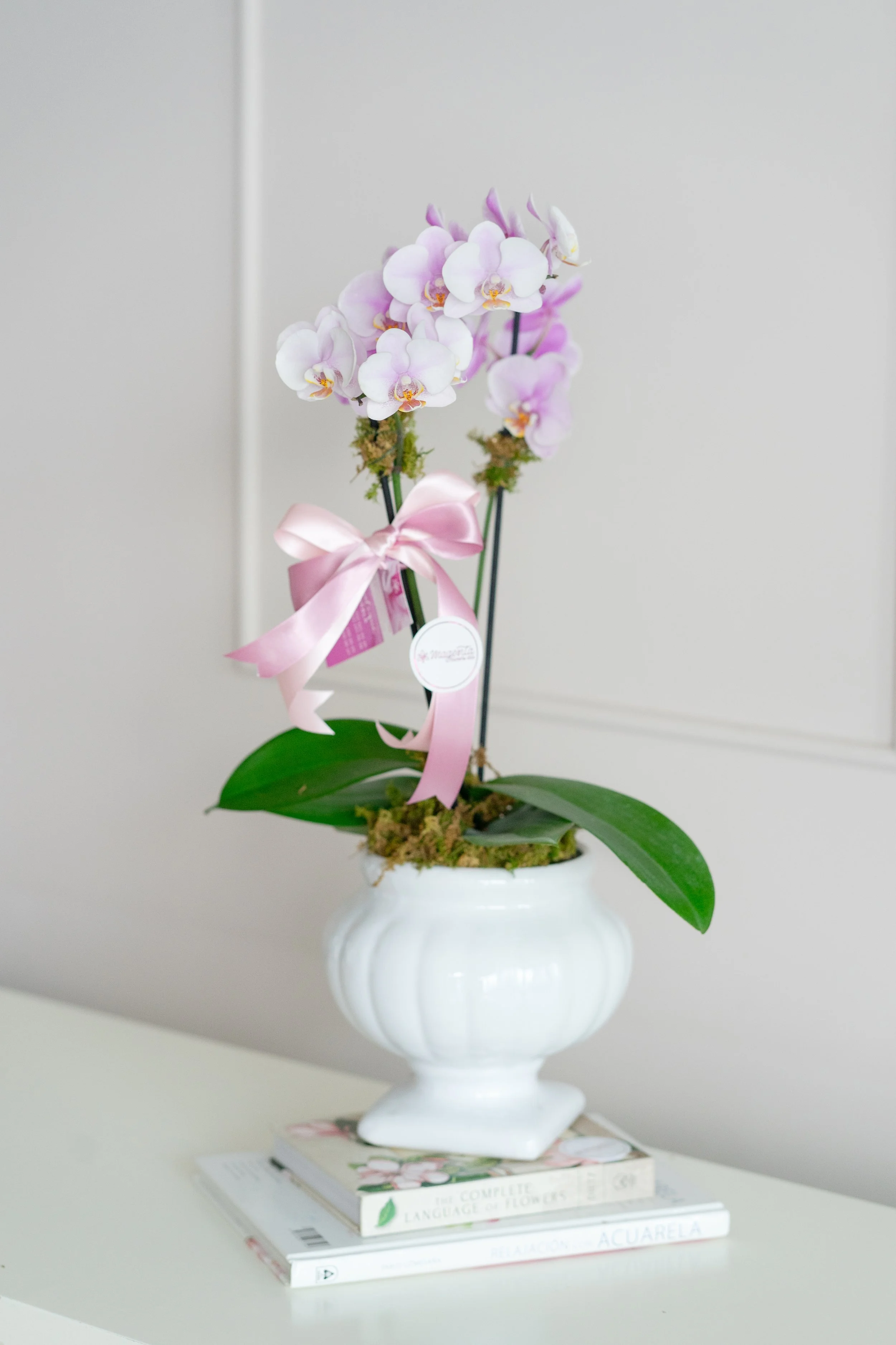DSC00014-1.jpg