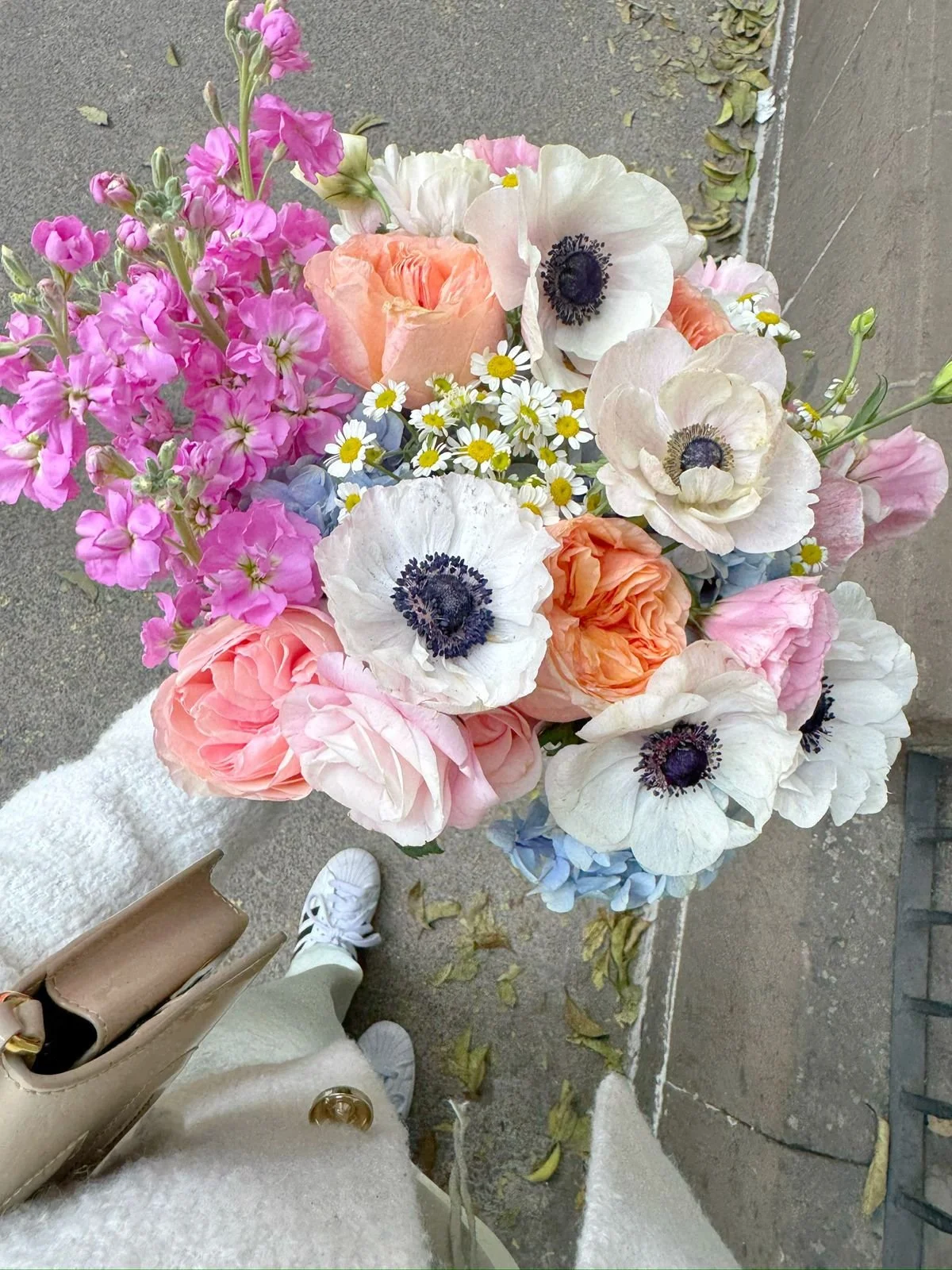 WhatsApp Image 2026-04-17 at 7.31.05 PM.jpeg