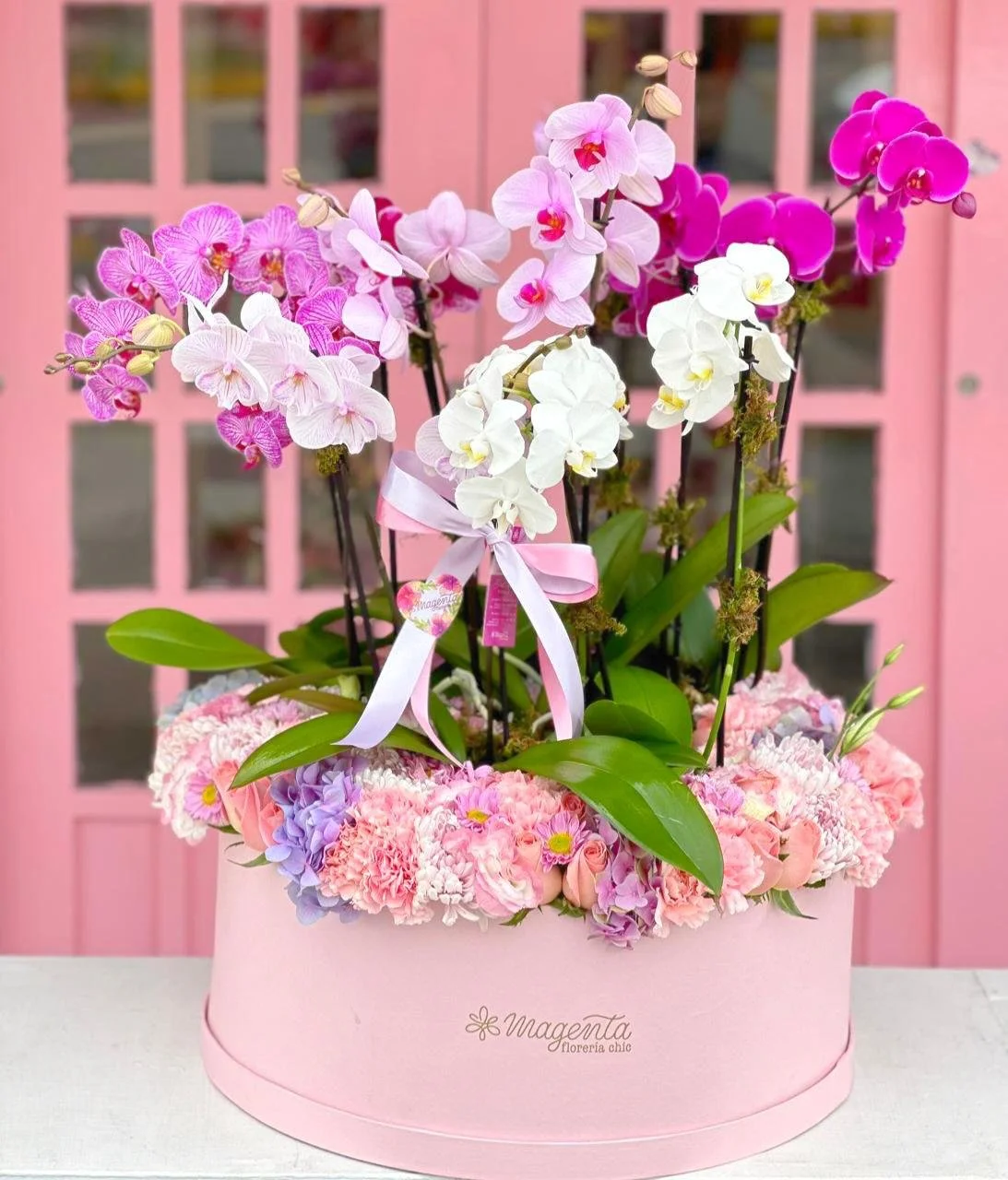 Jardín de Orquídeas Jumbo