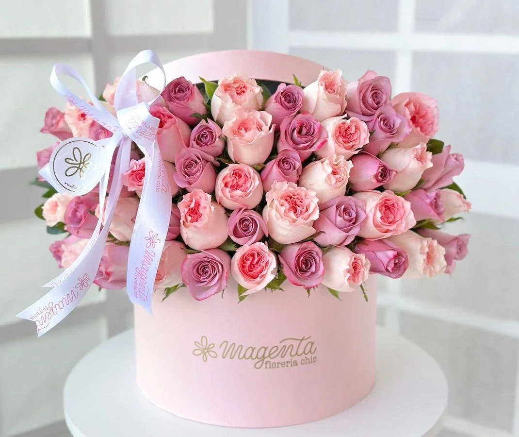 Pastel Pastel