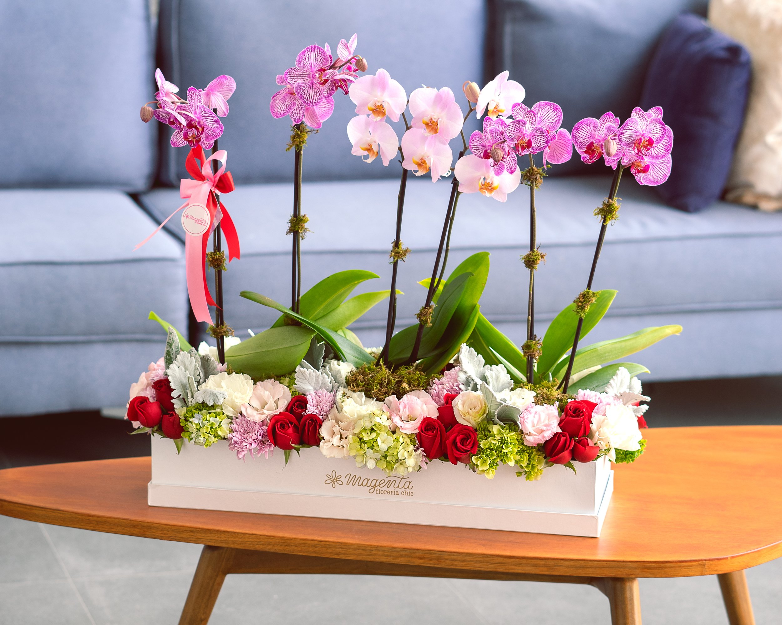 Orchid Love