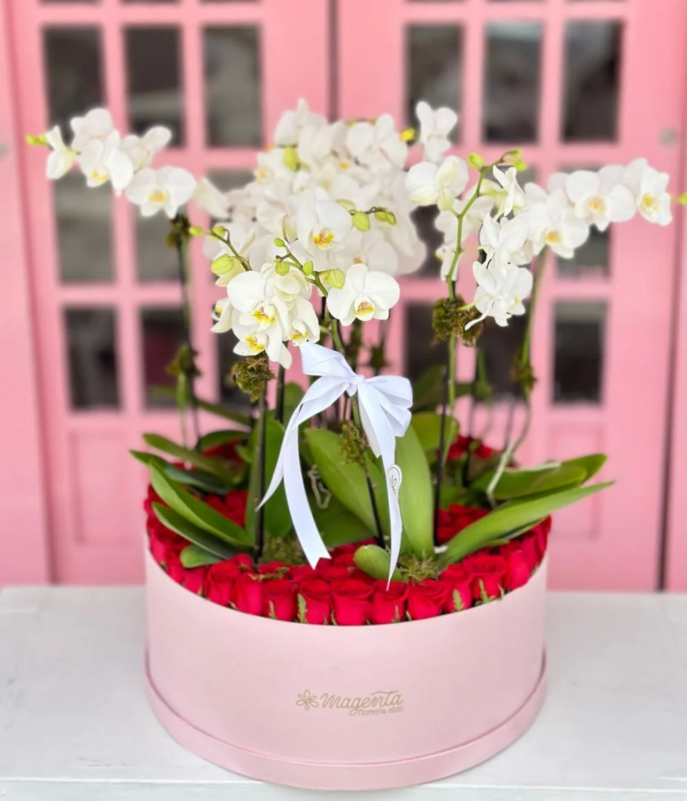 Orquídea Jumbo