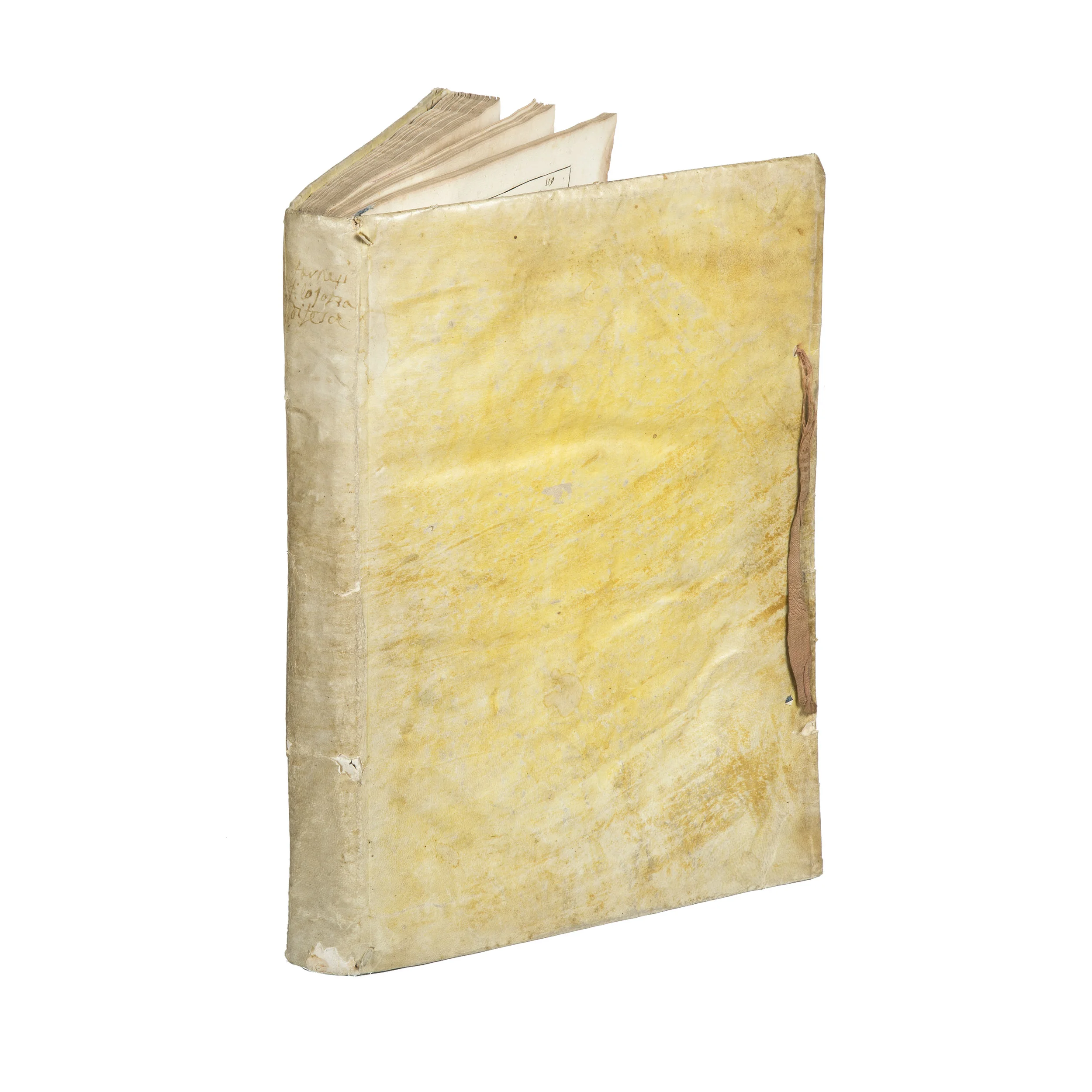 Farnese leg square.jpg