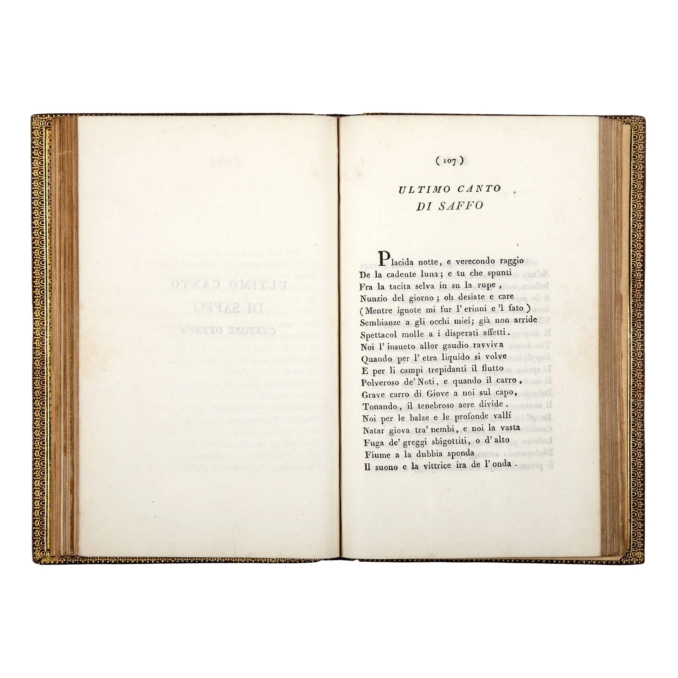 Leopardi 35.jpg