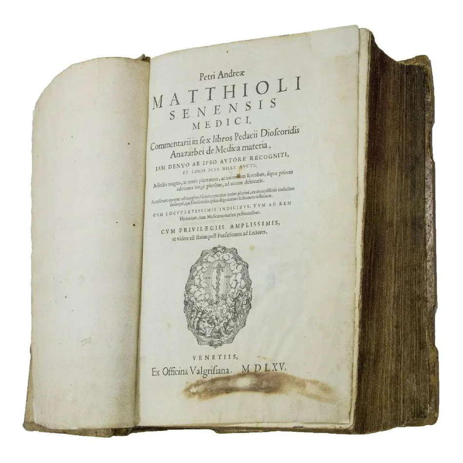 mattioli 4.jpg