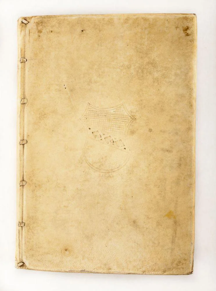 rinuccini 4.jpg