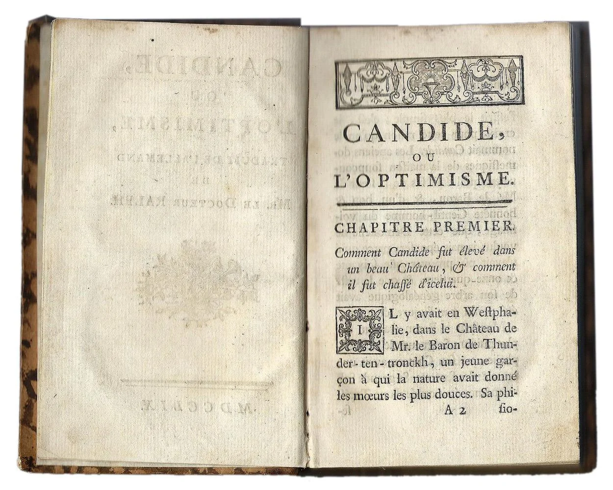 Voltaire 2.jpg