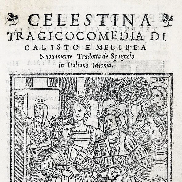 Playing with figures between Spain and Venice: on an early translation of La Celestina