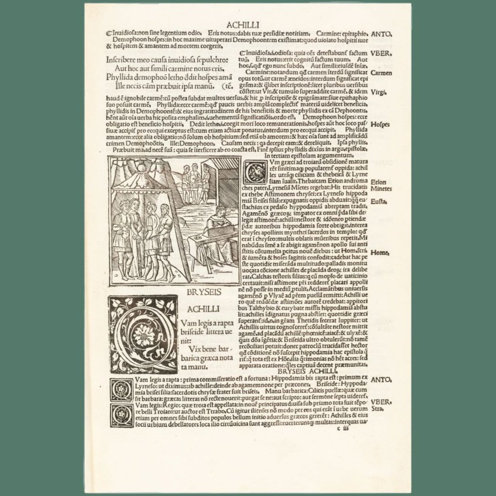 Ovidio1507-4+C.jpg