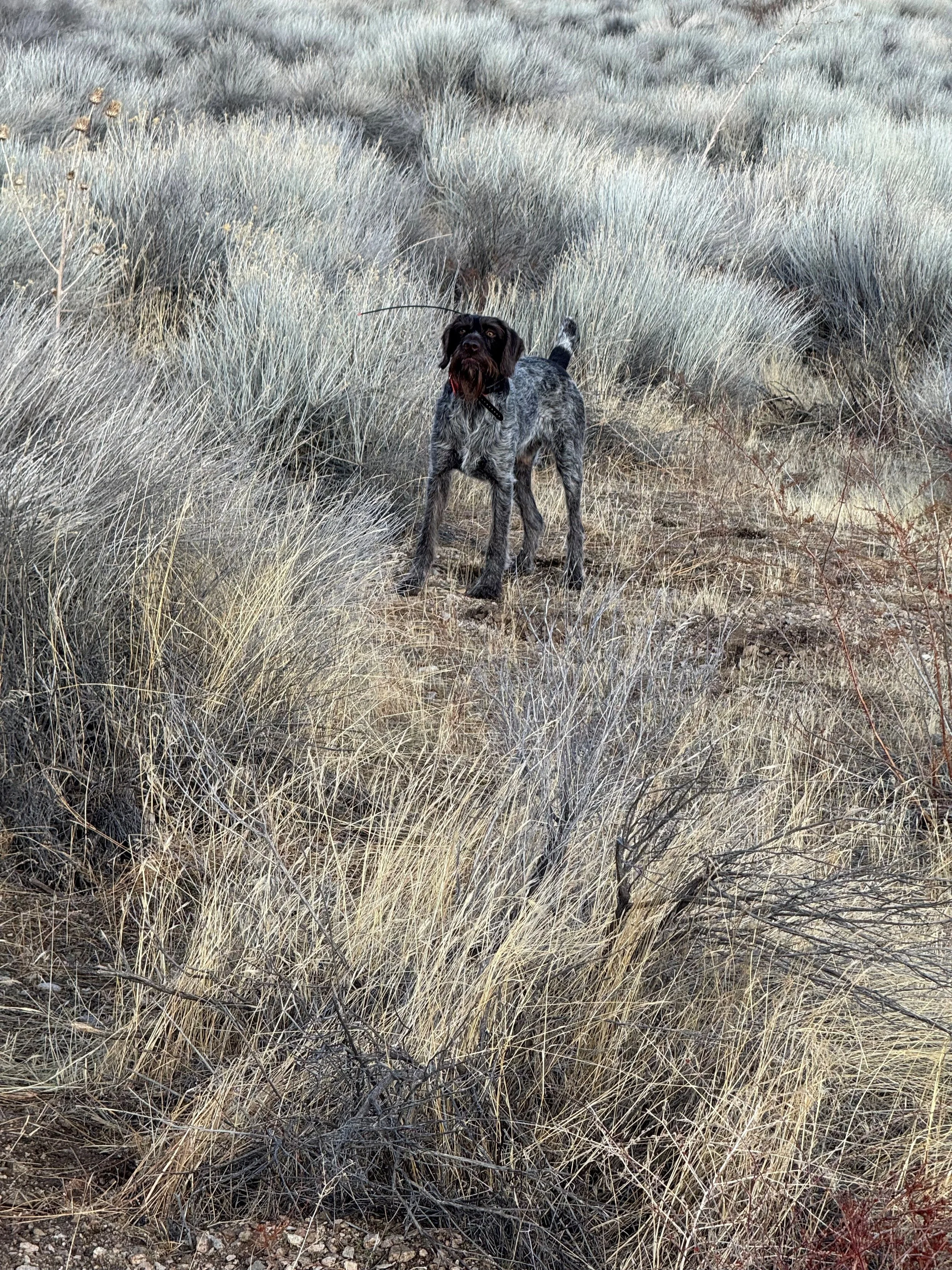 Garth in the field.jpg