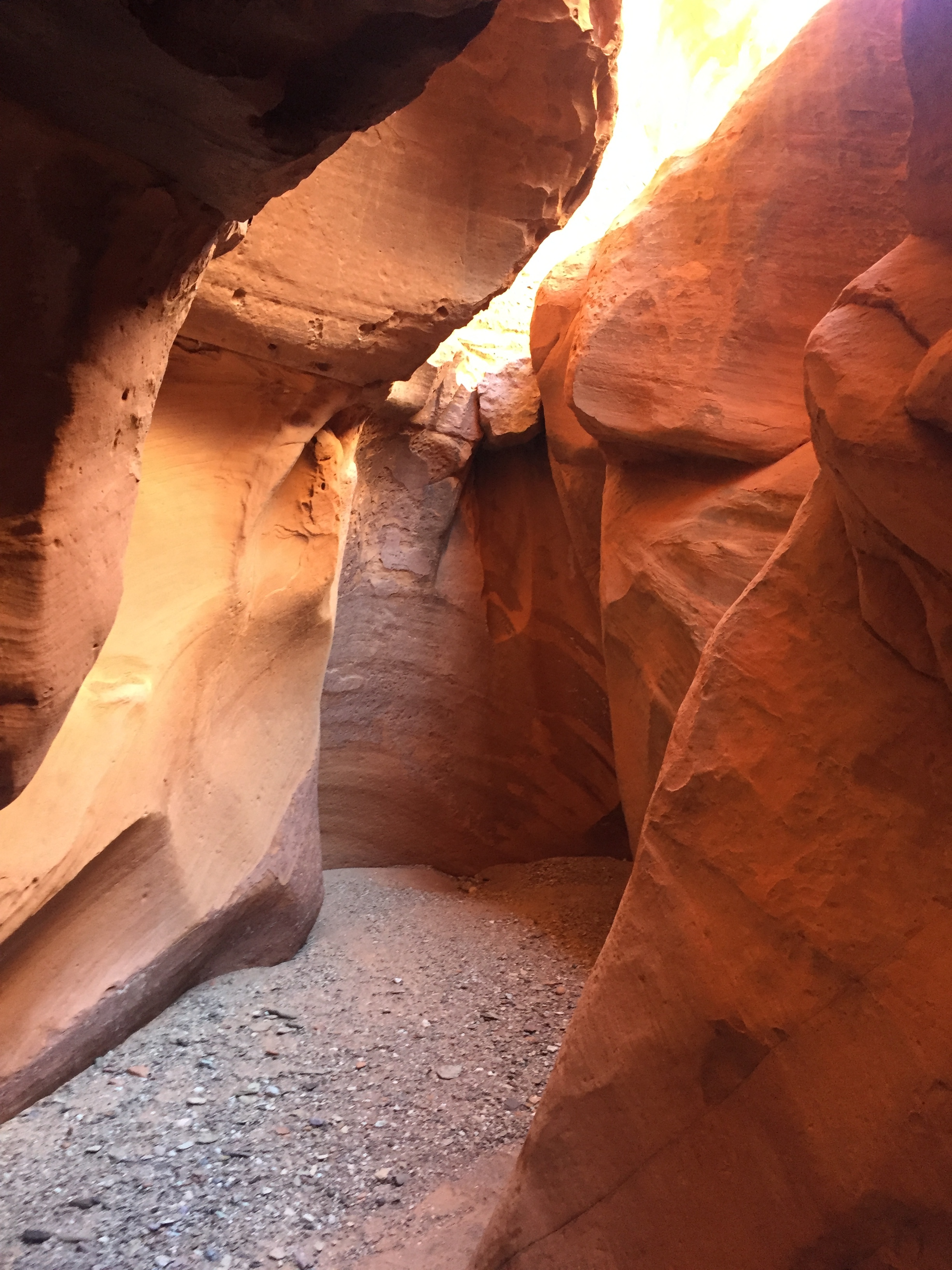   AUGUST, 2017 – CAPITOL REEF NATIONAL PARK: Many areas of the park feature slot canyons, formed by rapid rainfall cutting down through the soft sandstone.  