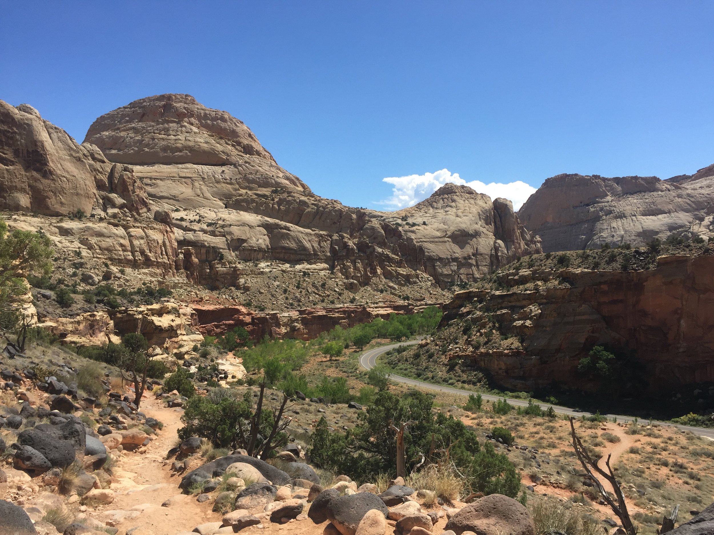   AUGUST, 2017 – CAPITOL REEF NATIONAL PARK: Pictured: Navajo sandstone cliffs form cathedral-esque domes which early surveyors thought resembled the dome of the capital building in Washington D.C.  