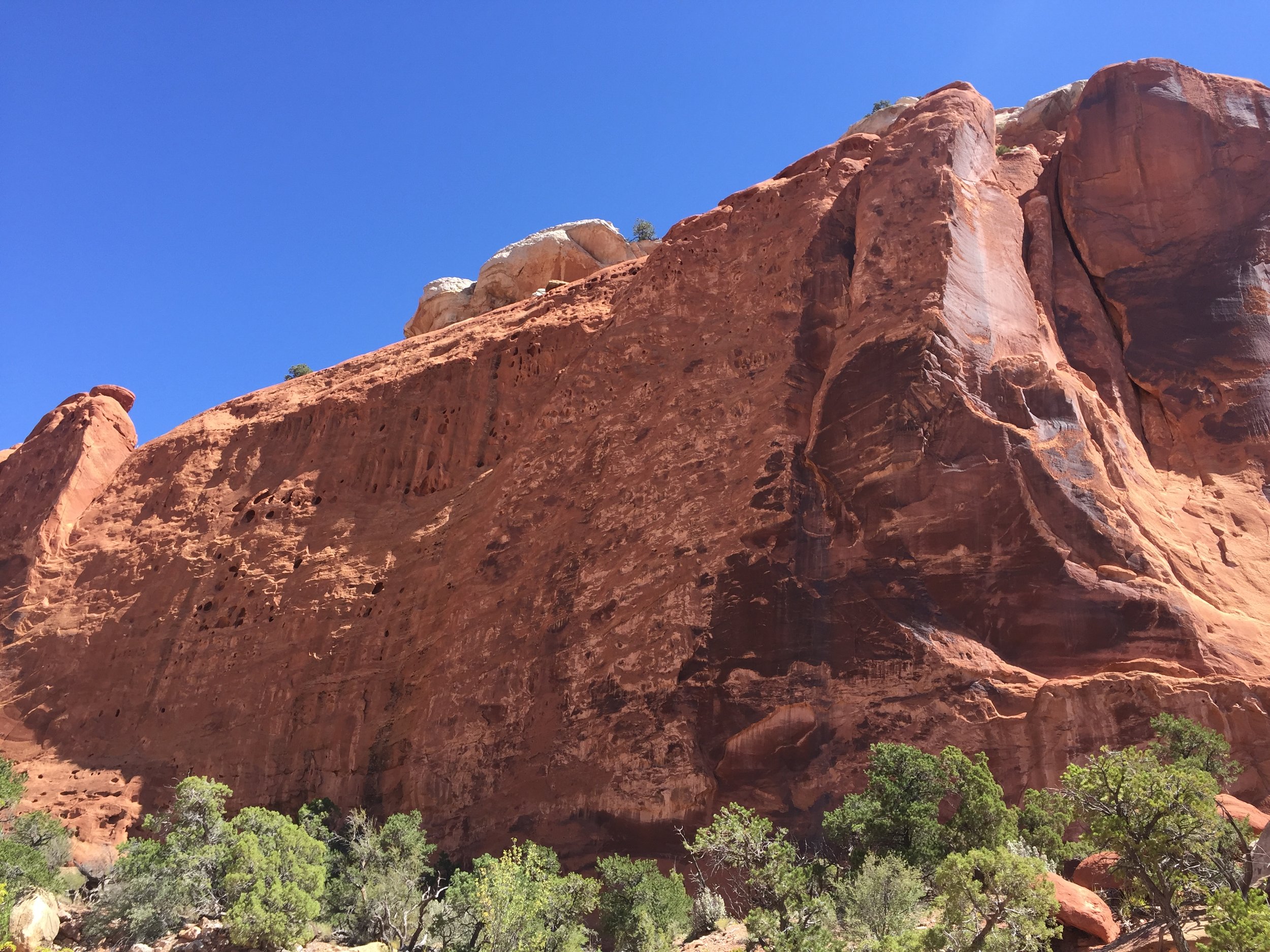   AUGUST, 2017 – CAPITOL REEF NATIONAL PARK: Pictured: one of the massive Wyngate Sandstone cliffs which tower over you as you walk. Allow your mind to give into make-believe, and you’ll have no problem imagining yourself on an alien world.  
