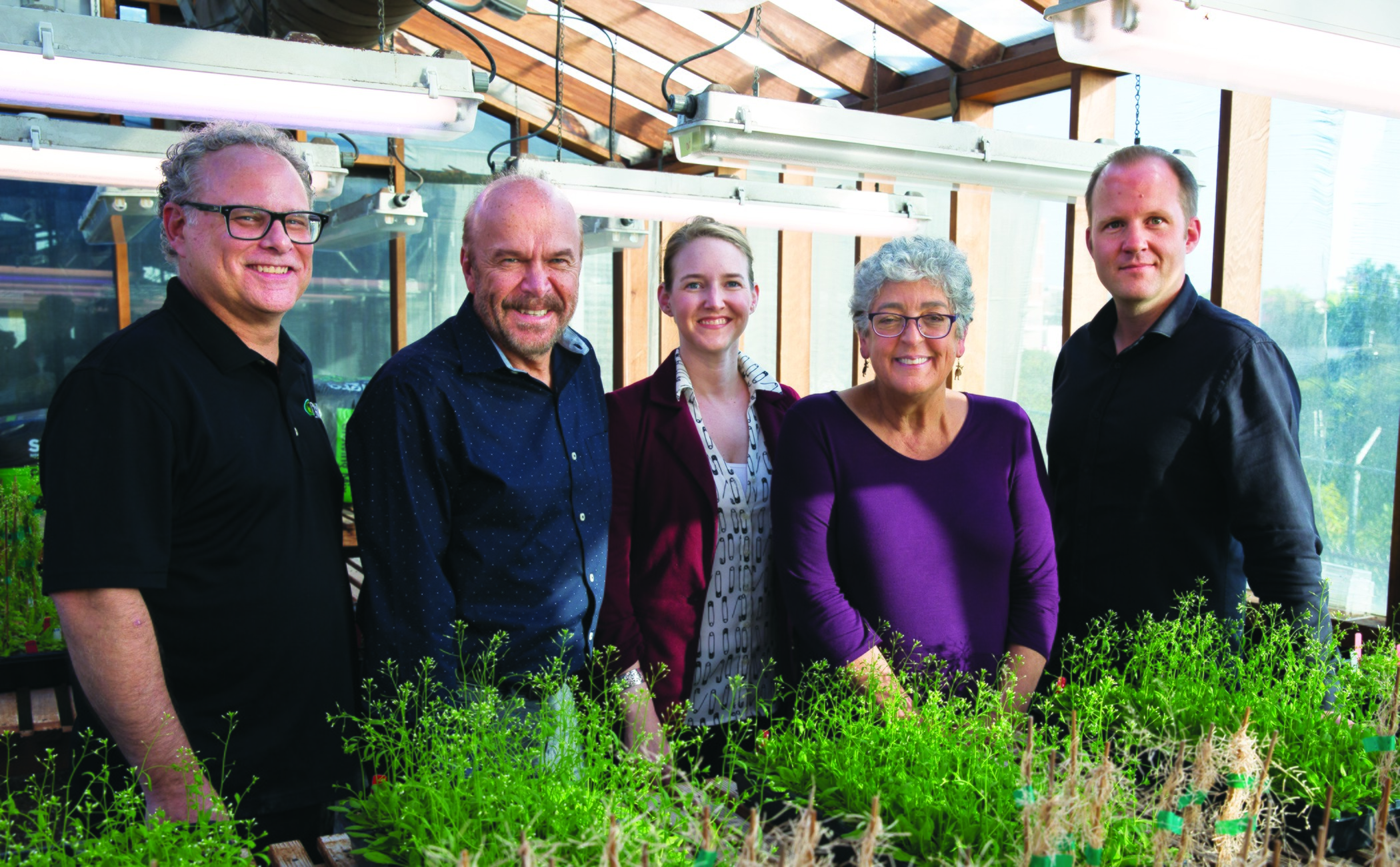 Pictured: The Salk Institute plant biology team. From left: Professor Joseph Noel, Professor Joseph Ecker, Associate Professor Julie Law, Professor Joanne Chory, Associate Professor Wolfgang Busch.