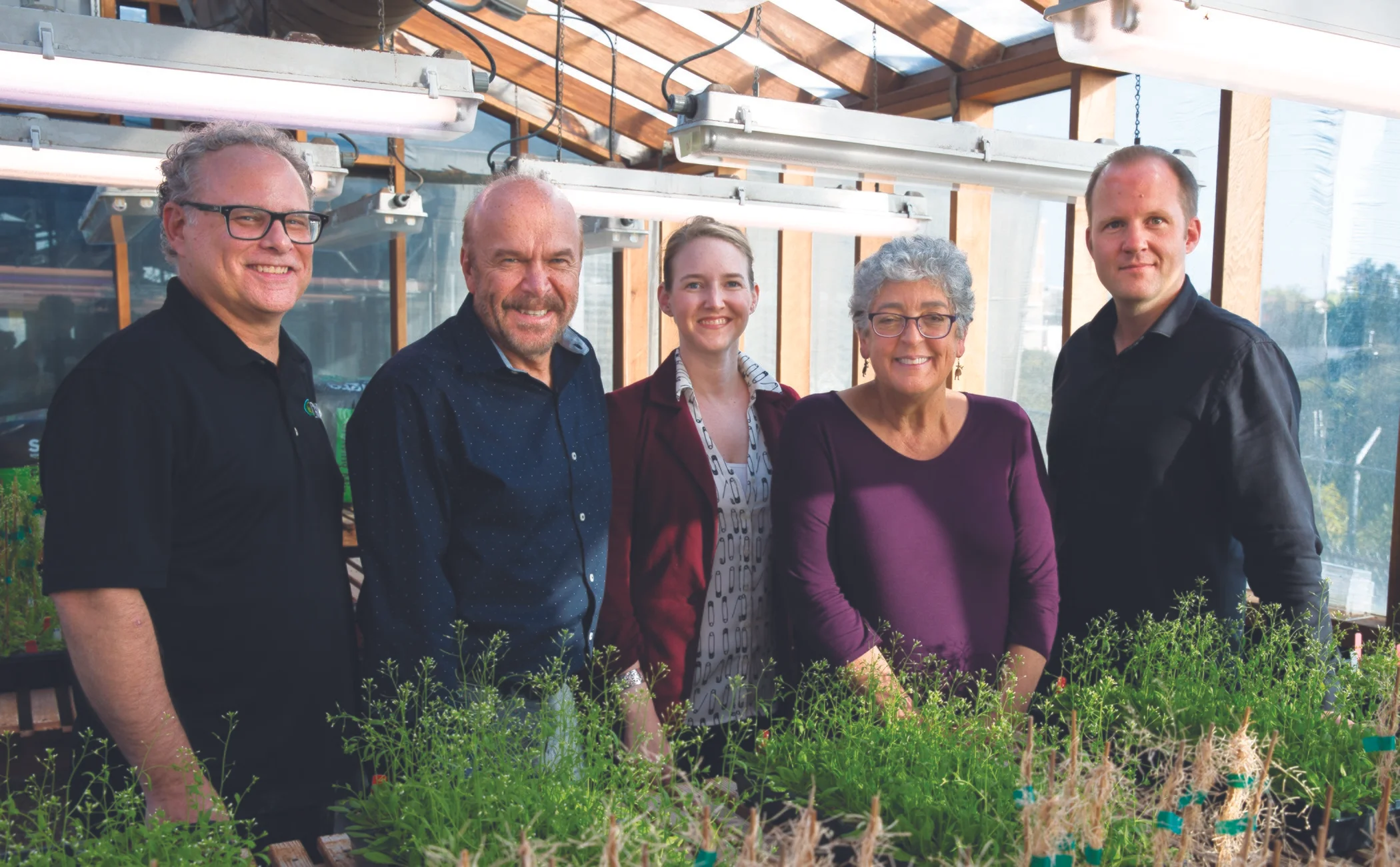 Pictured: The Salk Institute plant biology team. From left: Professor Joseph Noel, Professor Joseph Ecker, Associate Professor Julie Law, Professor Joanne Chory, Associate Professor Wolfgang Busch.