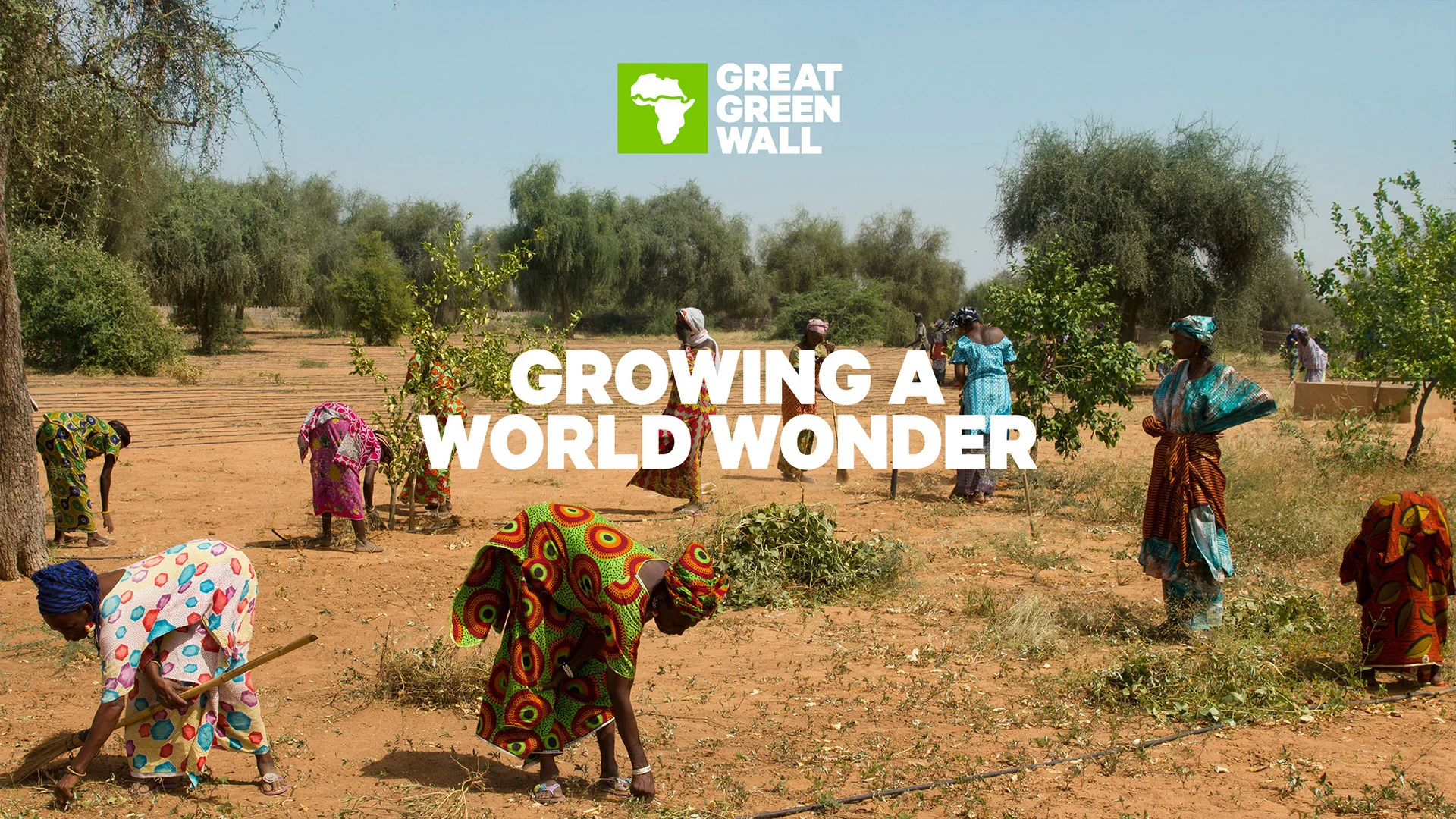 Photo credit: Greatgreenwall.org