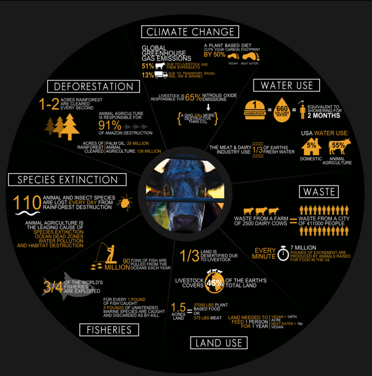 PICTURED: The infographic on the website of the widely-discredited Cowspiracy documentary.