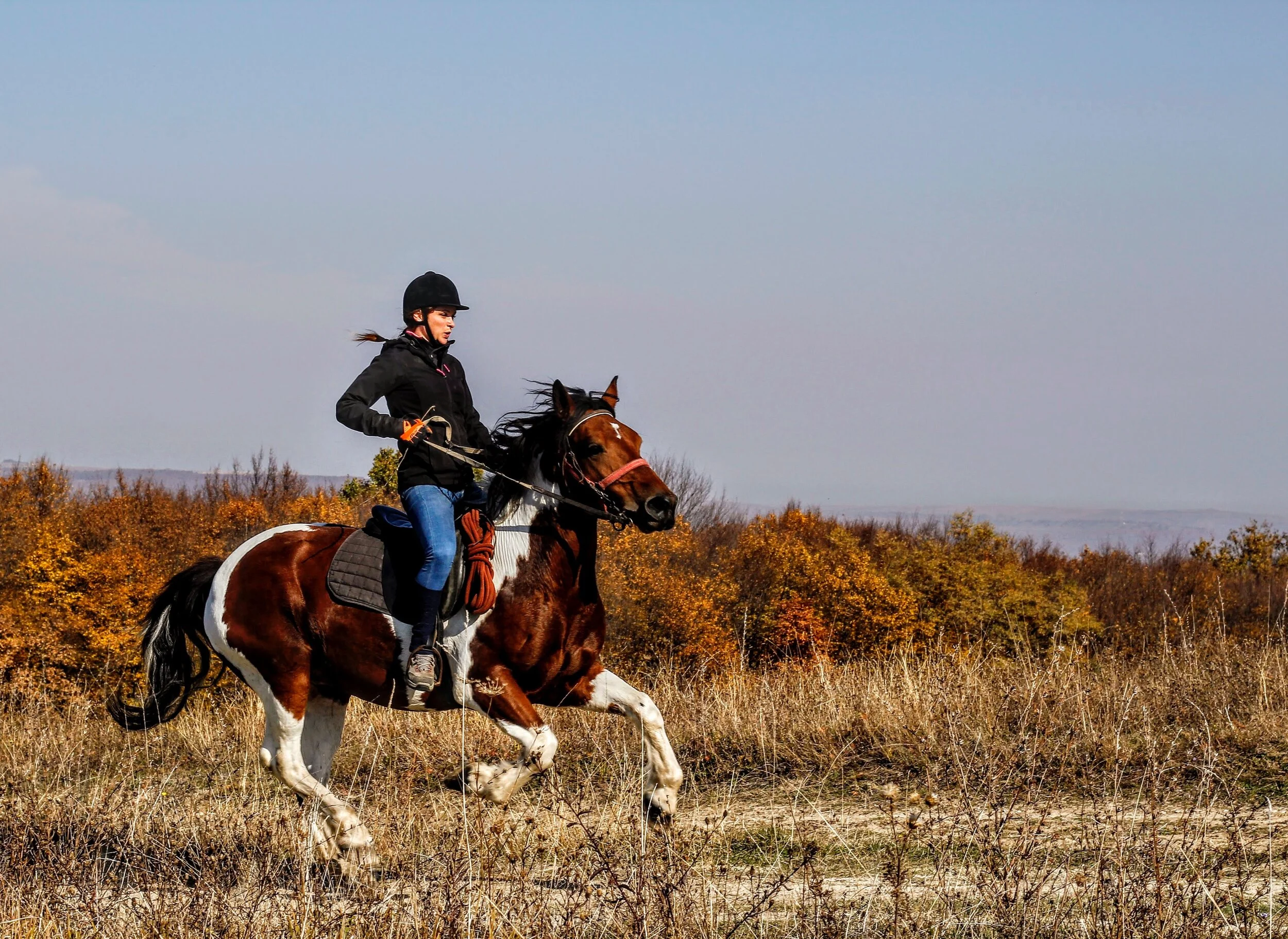Photo by Sergiu Vălenaș .