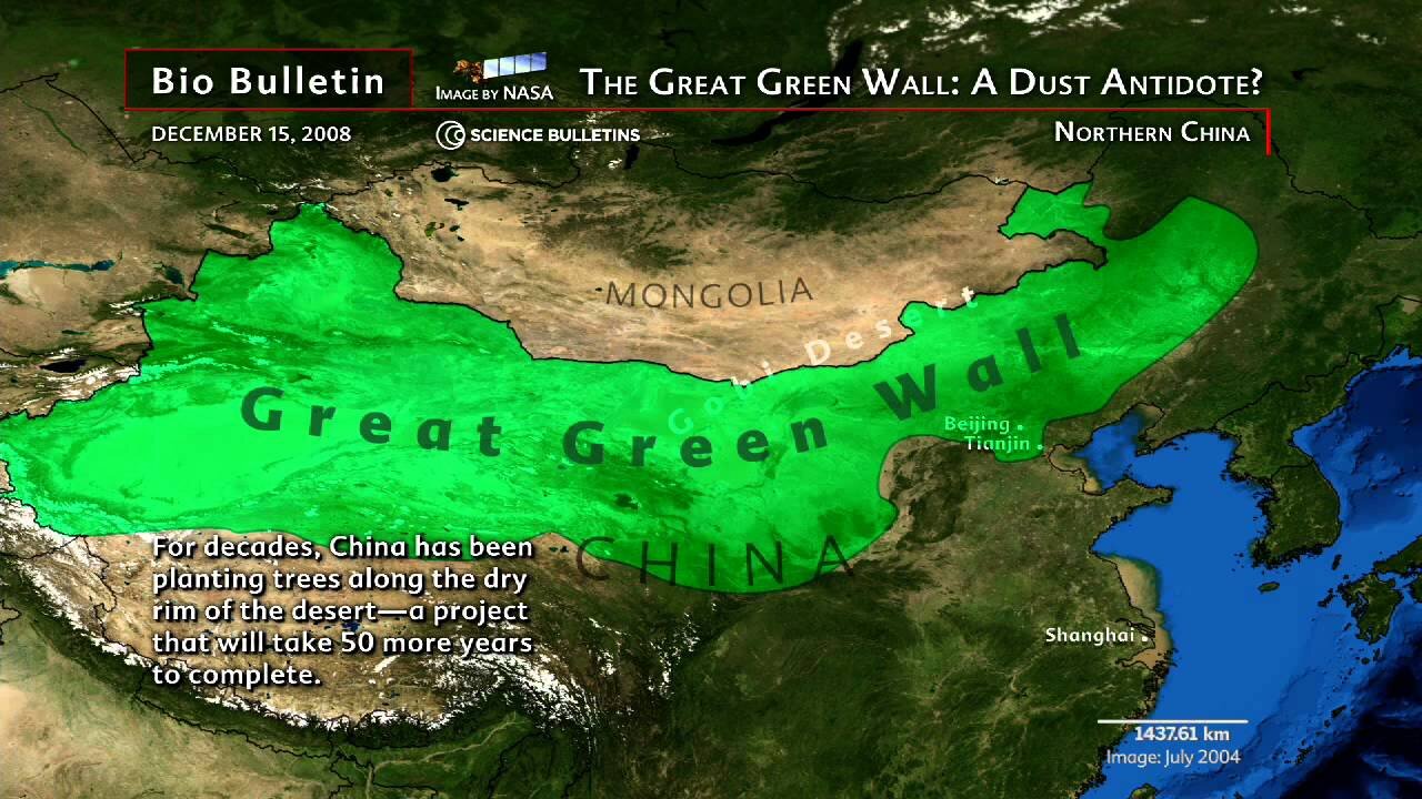 PICTURED: The scope of the Green Wall of China, as it seeks to act as a buffer to dust storms and land degradation. Photo credit: American Musuem of Natural History.