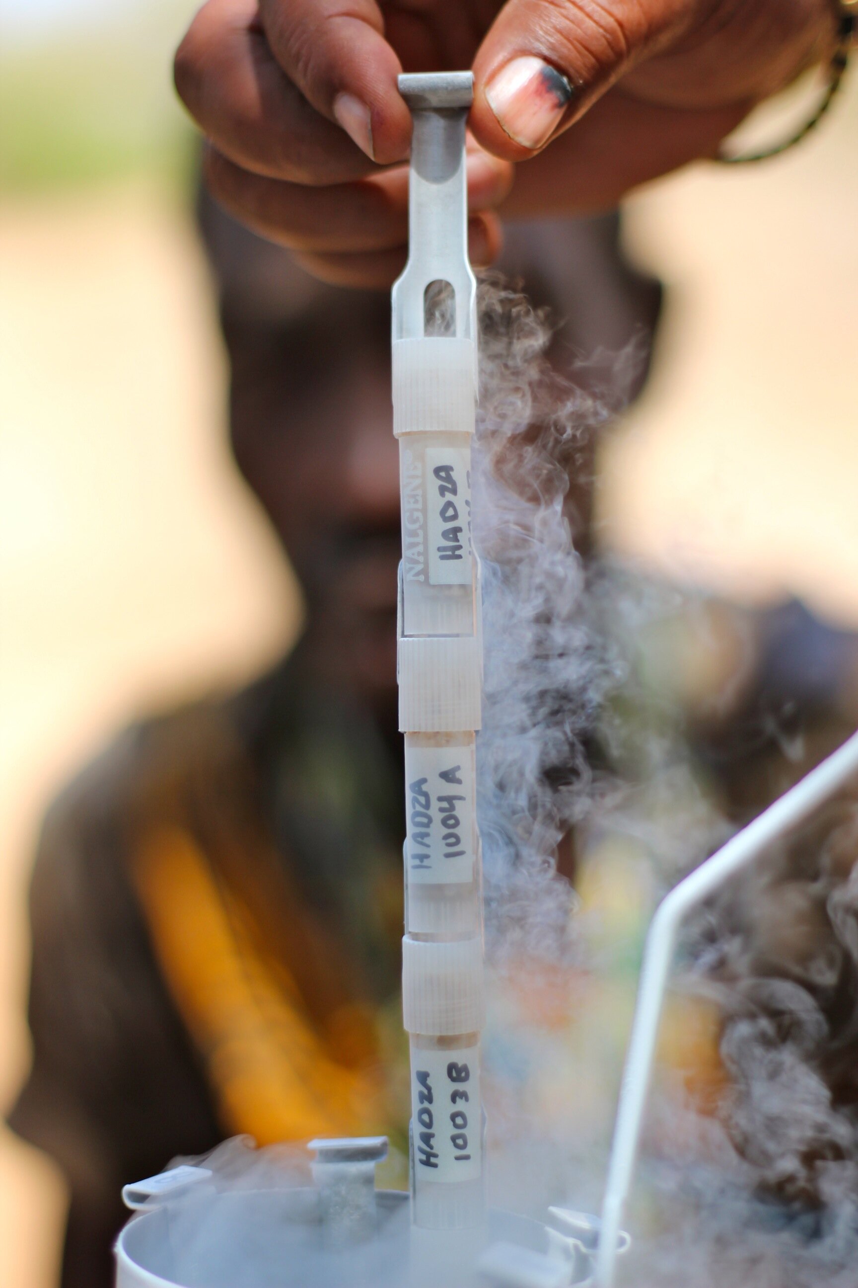 PICTURED: Stool samples taken from the Hadza people are always stored in liquid nitrogen for preservation. These samples helped broaden the American Gut Project horizons to populations that live a more archaic lifestyle.