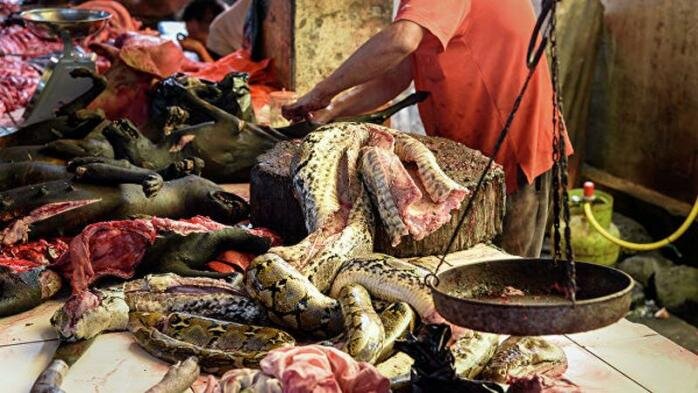 PICTURED: The typical bushmeat trader offers snakes and other animals on market day, a common sight in the third world. Photo credit: Катрін. CC 4.0 Int.