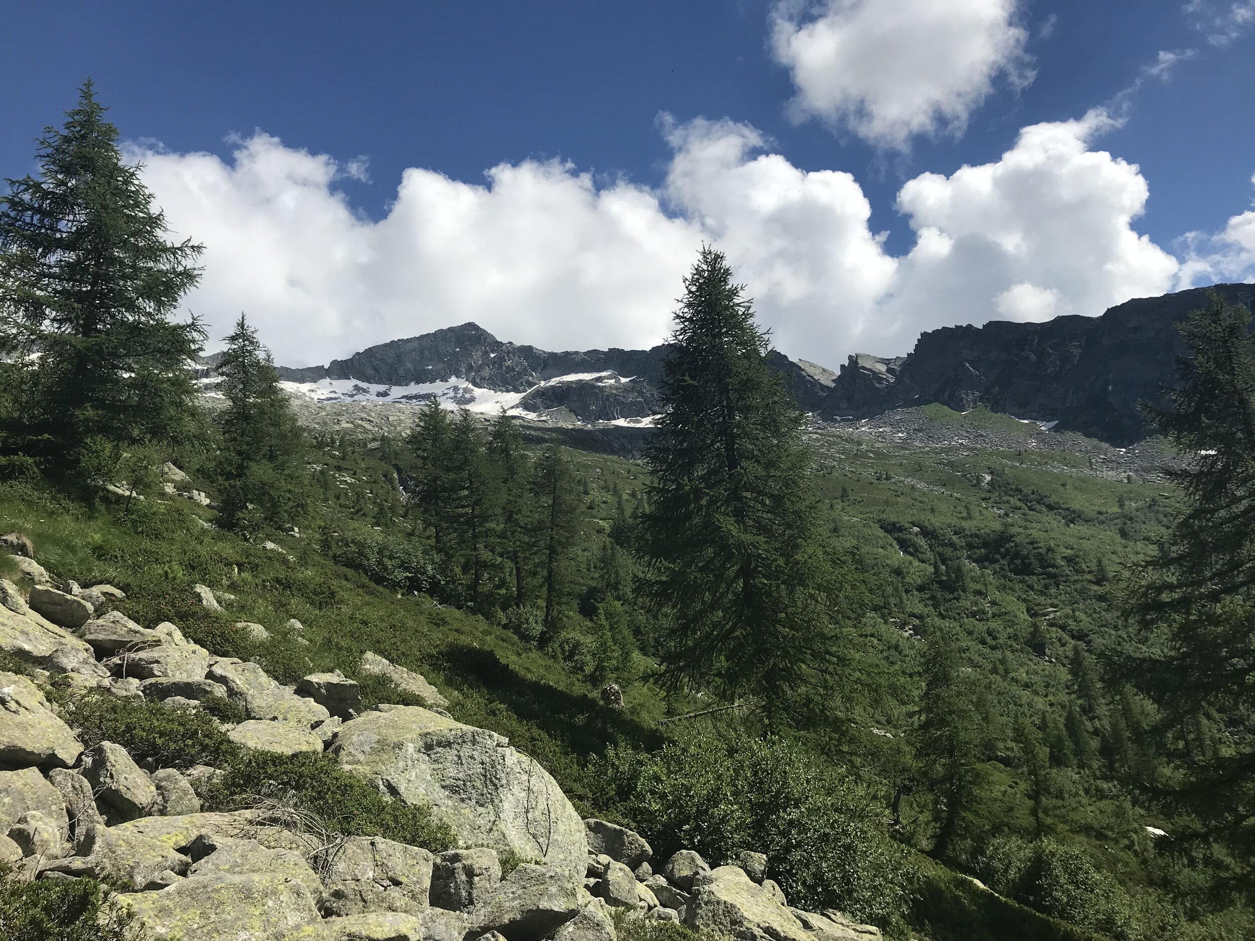   PICTURED:  Snow drifts glisten in the sun even in early July atop  Alpe Quarazzola di Sotto,  above 1,600 meters in elevation. 