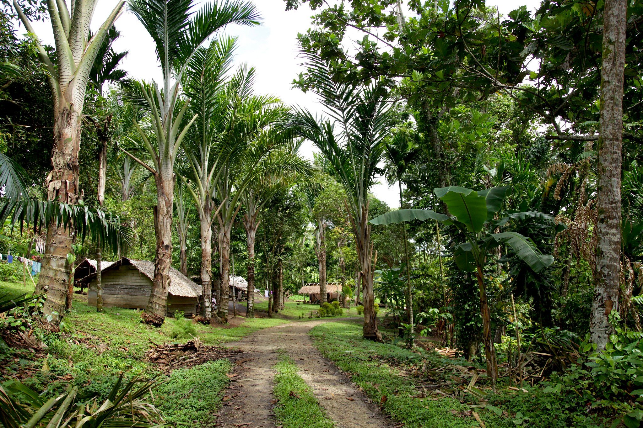 PICTURED: Village on Buka Island, Bougainville. Photo credit: Jeremy Weate. CC 3.0