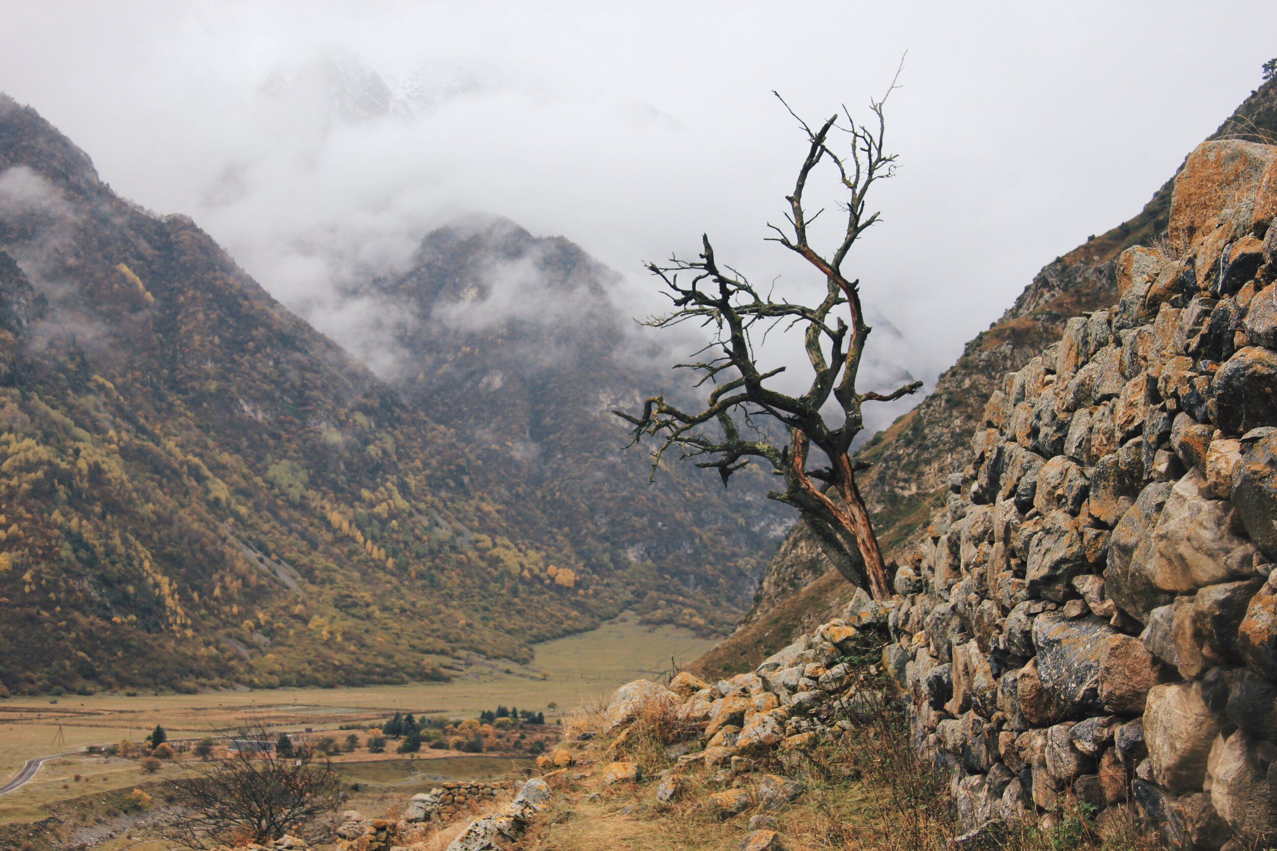 PICTURED: Good leopard country in the Caucasus Mountains, Russia.