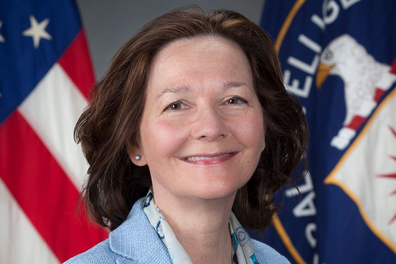 PICTURED: CIA Director Gina Haspel,’s official portrait.