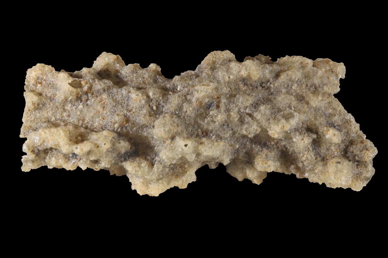 PICTURED: A sample of sand fulgurite found in the Libyan desert. Photo credit: Rama. CC 2.0. France.