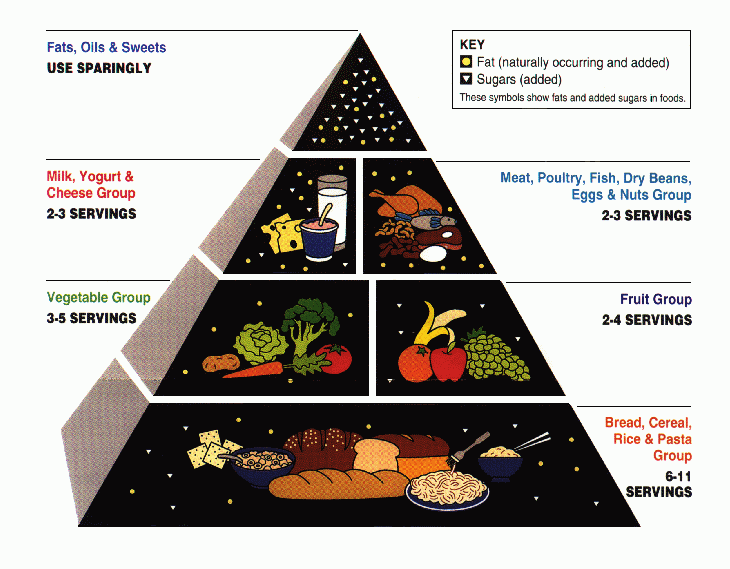 PICTURED: The original 1991 USDA Food Pyramid.