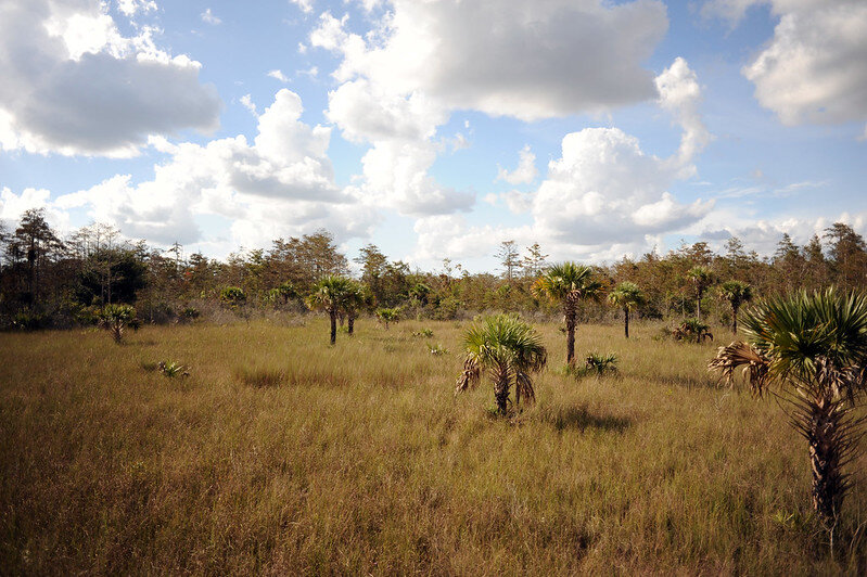 PICTURED: The prairie in Florida Panther National Wildlife Sanctuary, one of the units the FWS recently expanded fishing opportunities in.