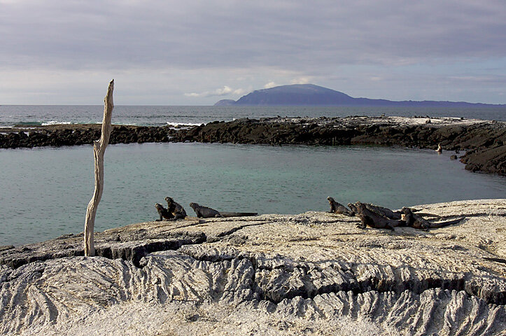 PICTURED: View at Fernandina Island, Galapagos, Ecuador. Photo credit: Aaron Logan. CC 2.0.