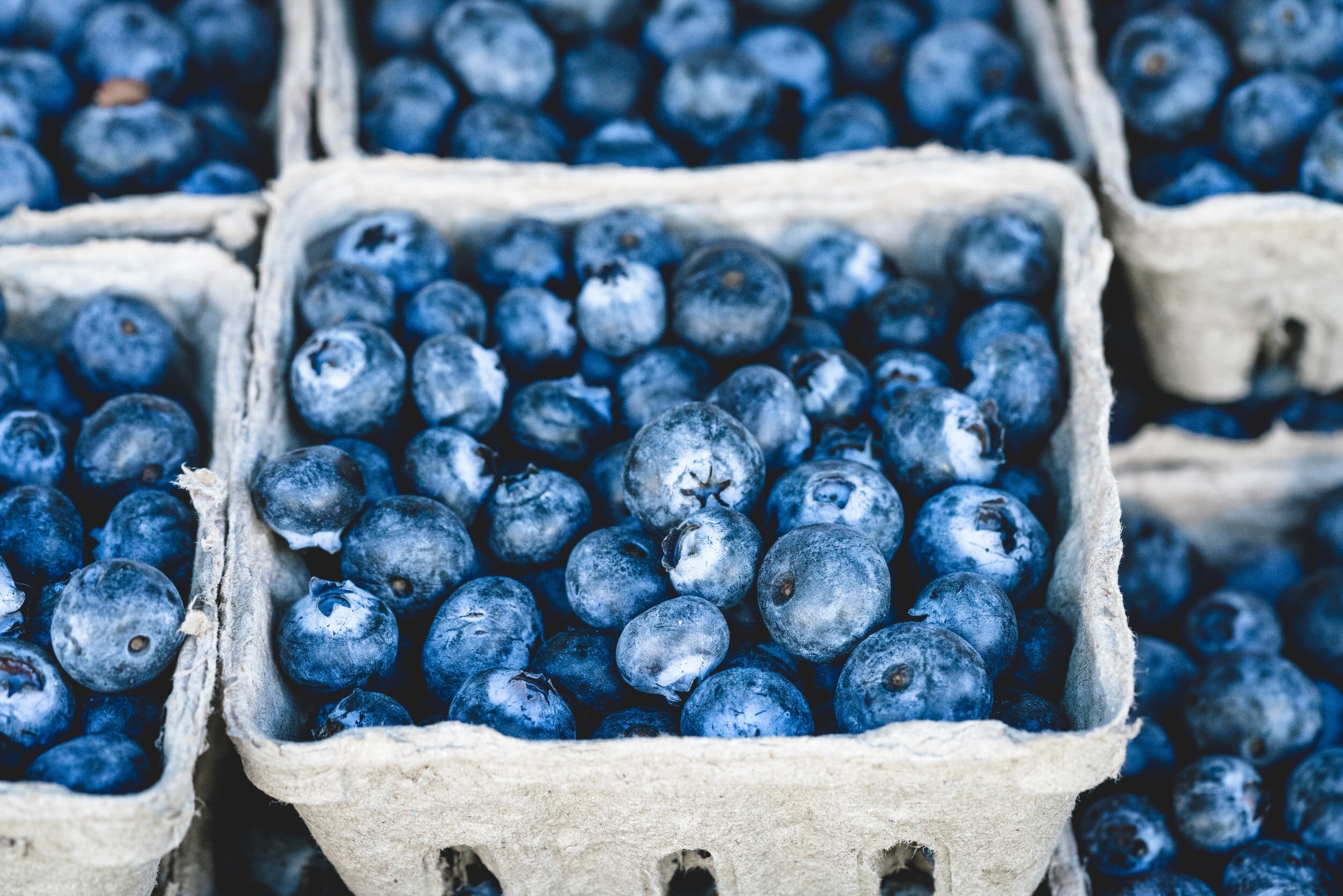 PICTURED: Blueberries are good at preventing oxidative stress, as is CR, as it turns out.