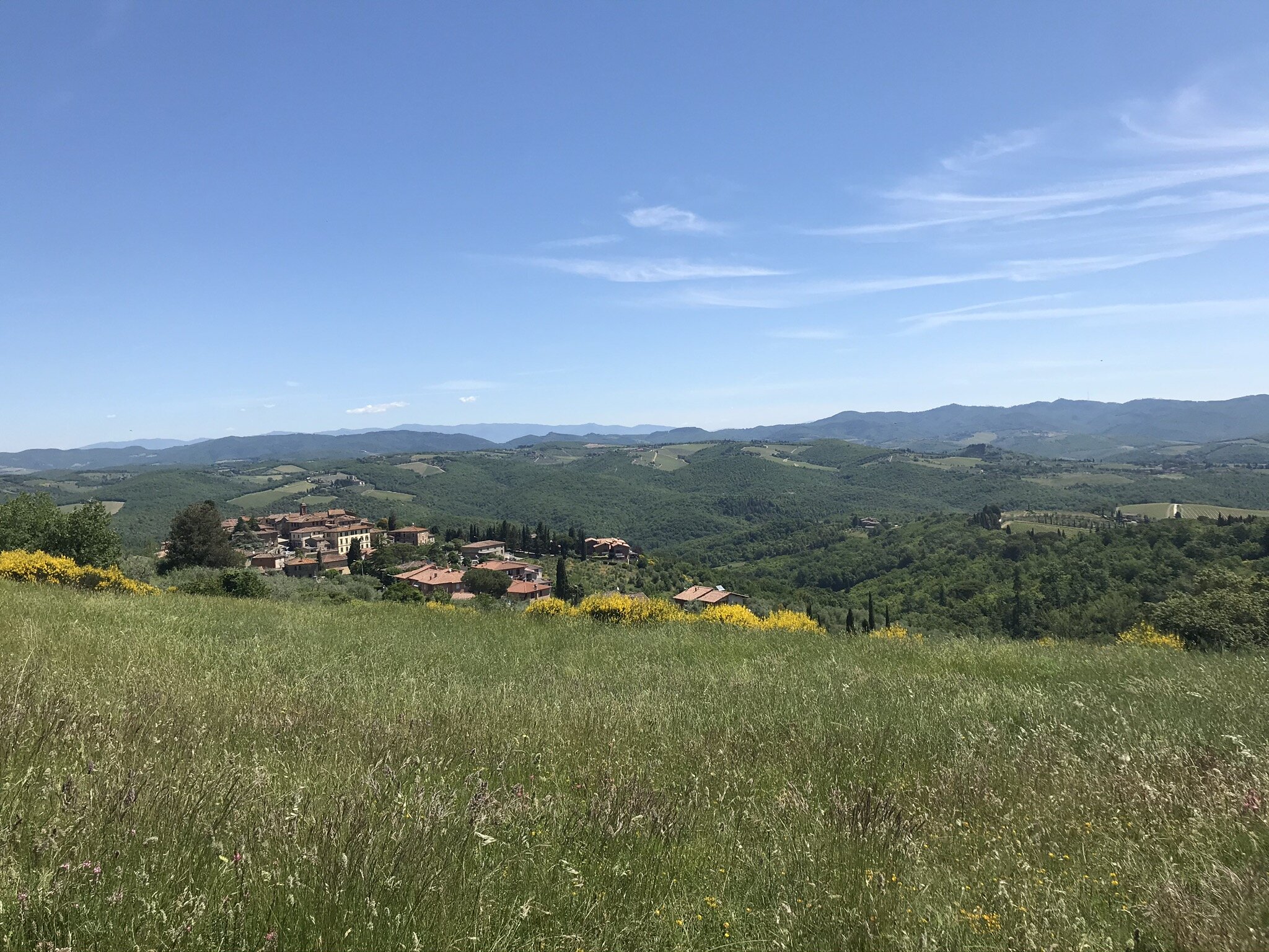 MONTERIGGIONI, Siena, Italy. June 3rd, 2021. PICTURED: The view from Sandra Petreni’s frequented stable. Yellow ginestra filled the air with sweet perfume.