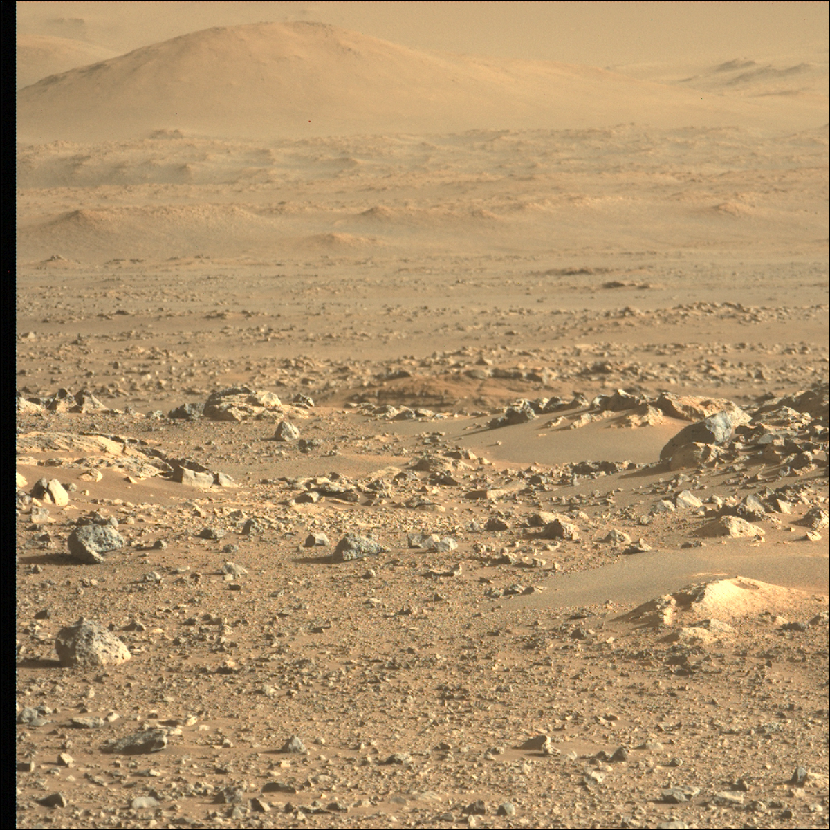 Mars_Perseverance_ZL0_0113_0676986783_693EBY_N0041062ZCAM07000_1100LMJ.png