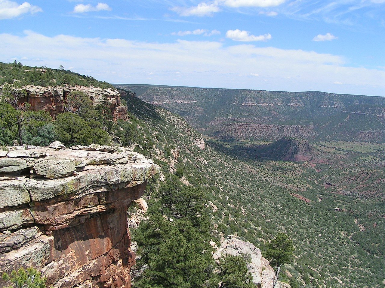 PICTURED: The 16,030-acre Sabinoso Wilderness is a remote area in the northeastern portion of New Mexico.