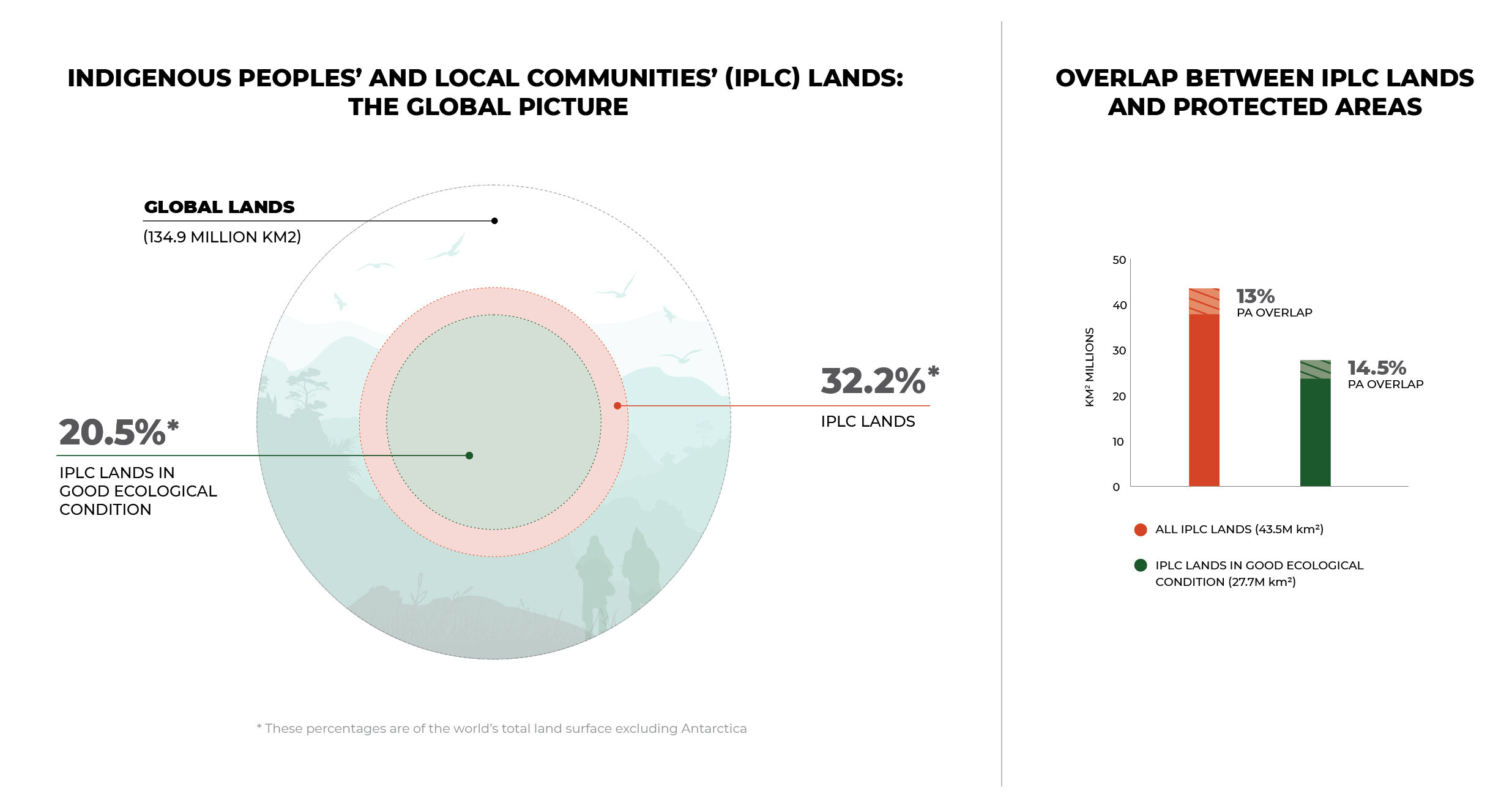 © The State of the Indigenous Peoples’ and Local Communities’ lands and territories Report.