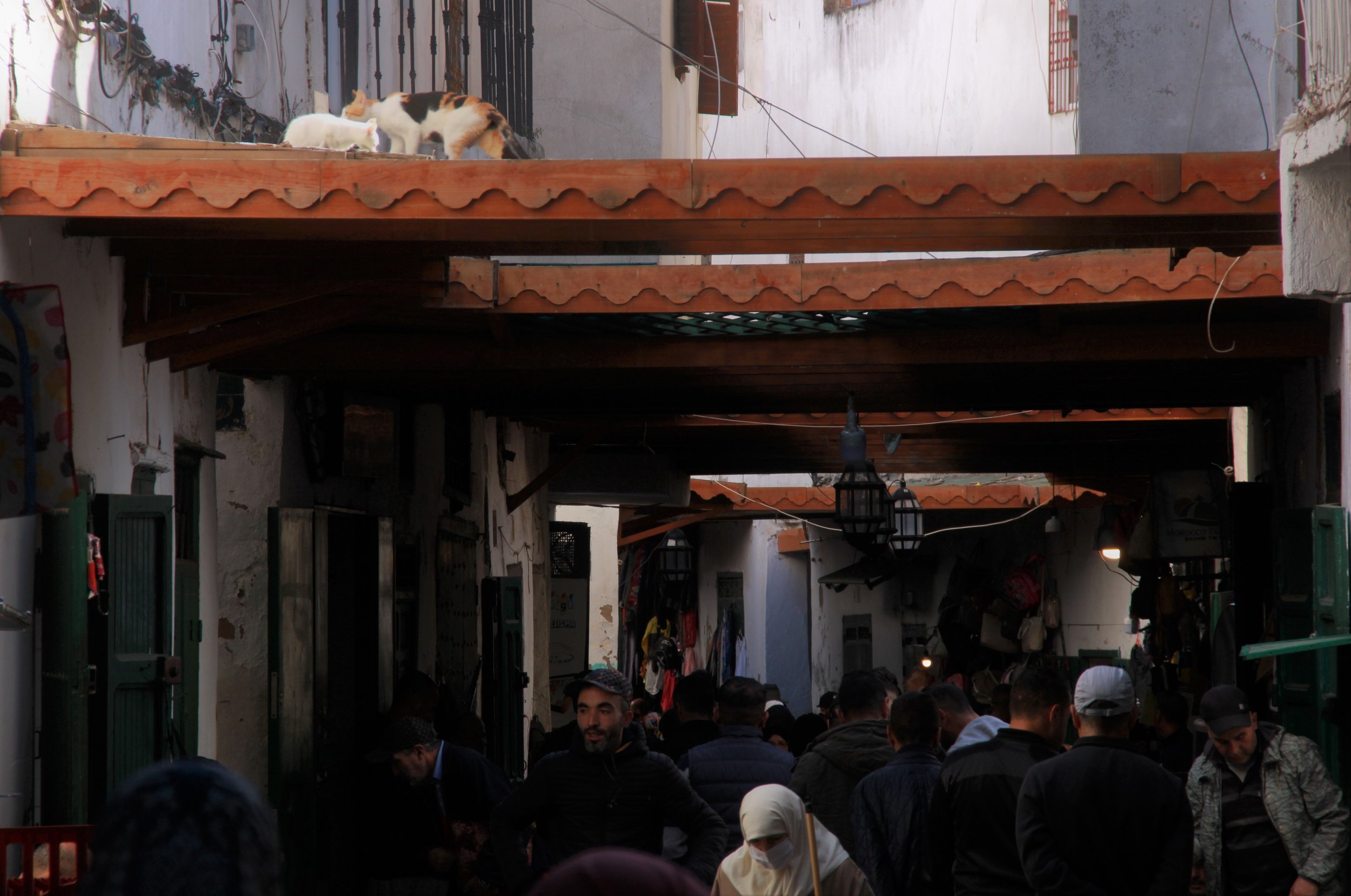  PICTURED: A busy mid-day souk in the old medina in Tétouan, where business is done both above and below the level of one’s eyes. PC: Andrew Corbley © 