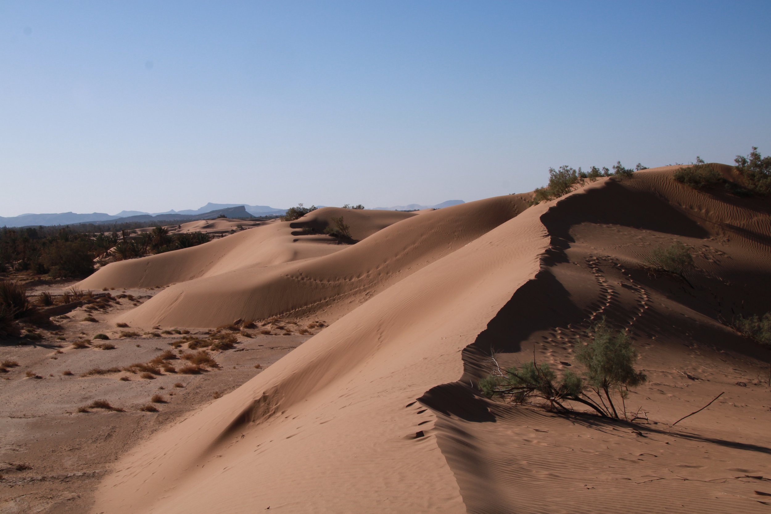  PICTURED: An unnamed stretch of desert near Rissani. PC: Andrew Corbley © 