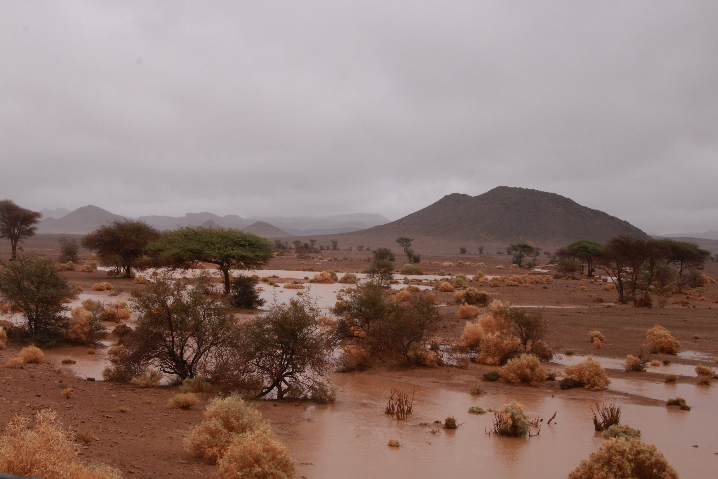 Rain in the Desert