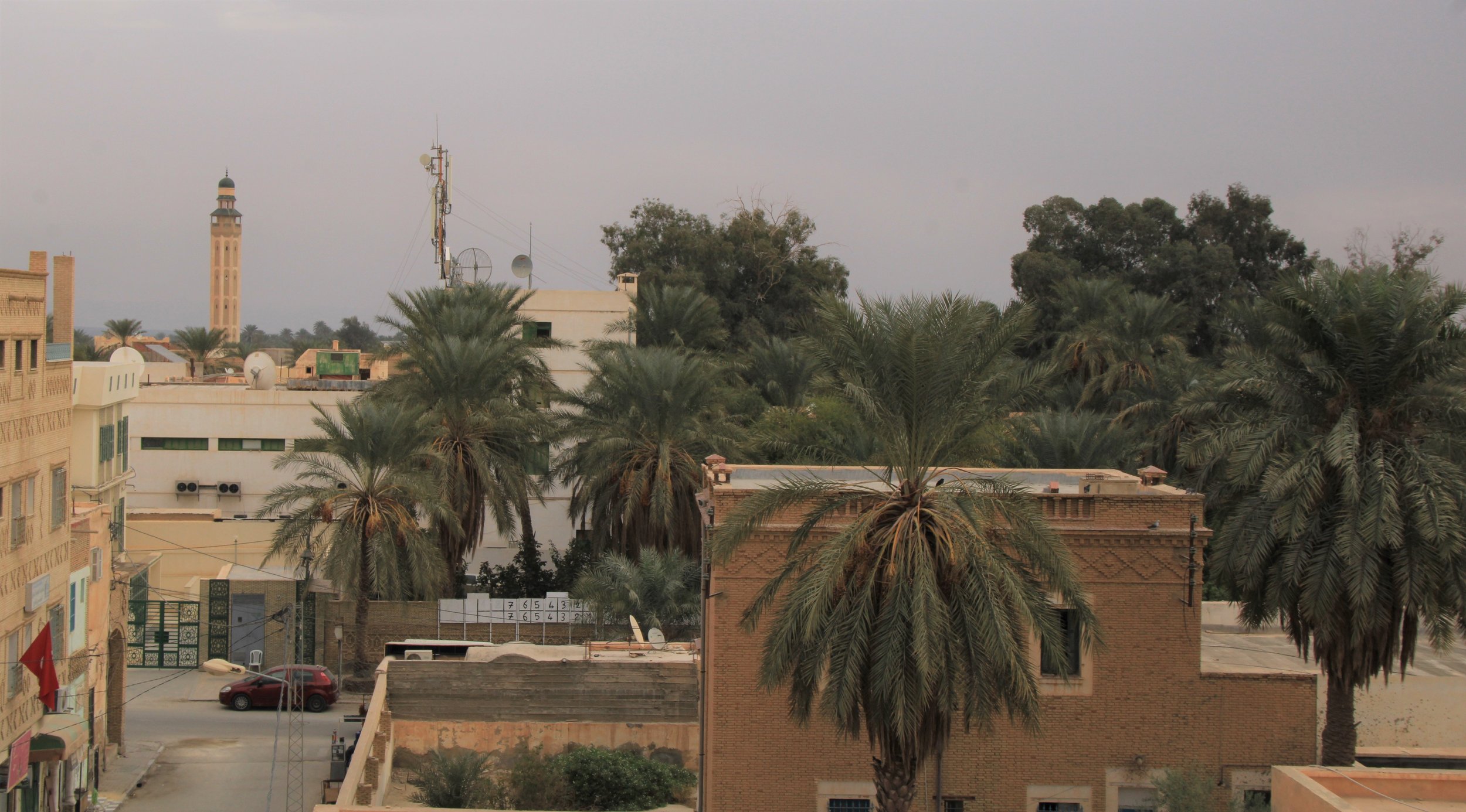 Date Palms Built the Modern Adventure Captial of the Tunisian Sahara