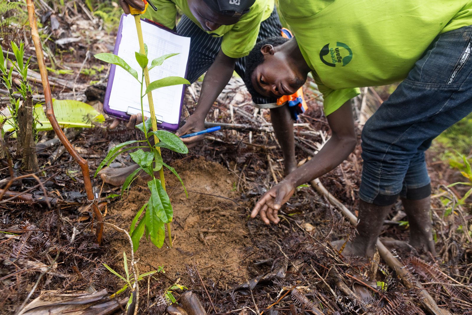  PICTURED: NG and Flavi measure a newly planted tree and record its height on a hillside just outside of Tsarasoatra, Madagascar. August 2022. PC: Jenny Mayfield for Green Again Madagascar © 