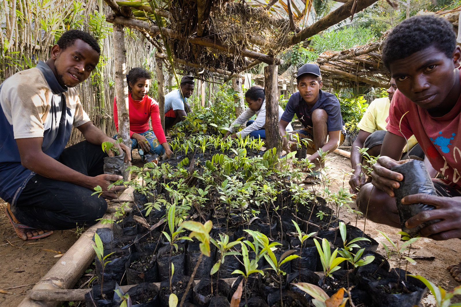 Reforestation is Difficult: But Local Farmers of NGO Green Again Madagascar Are on Top of It